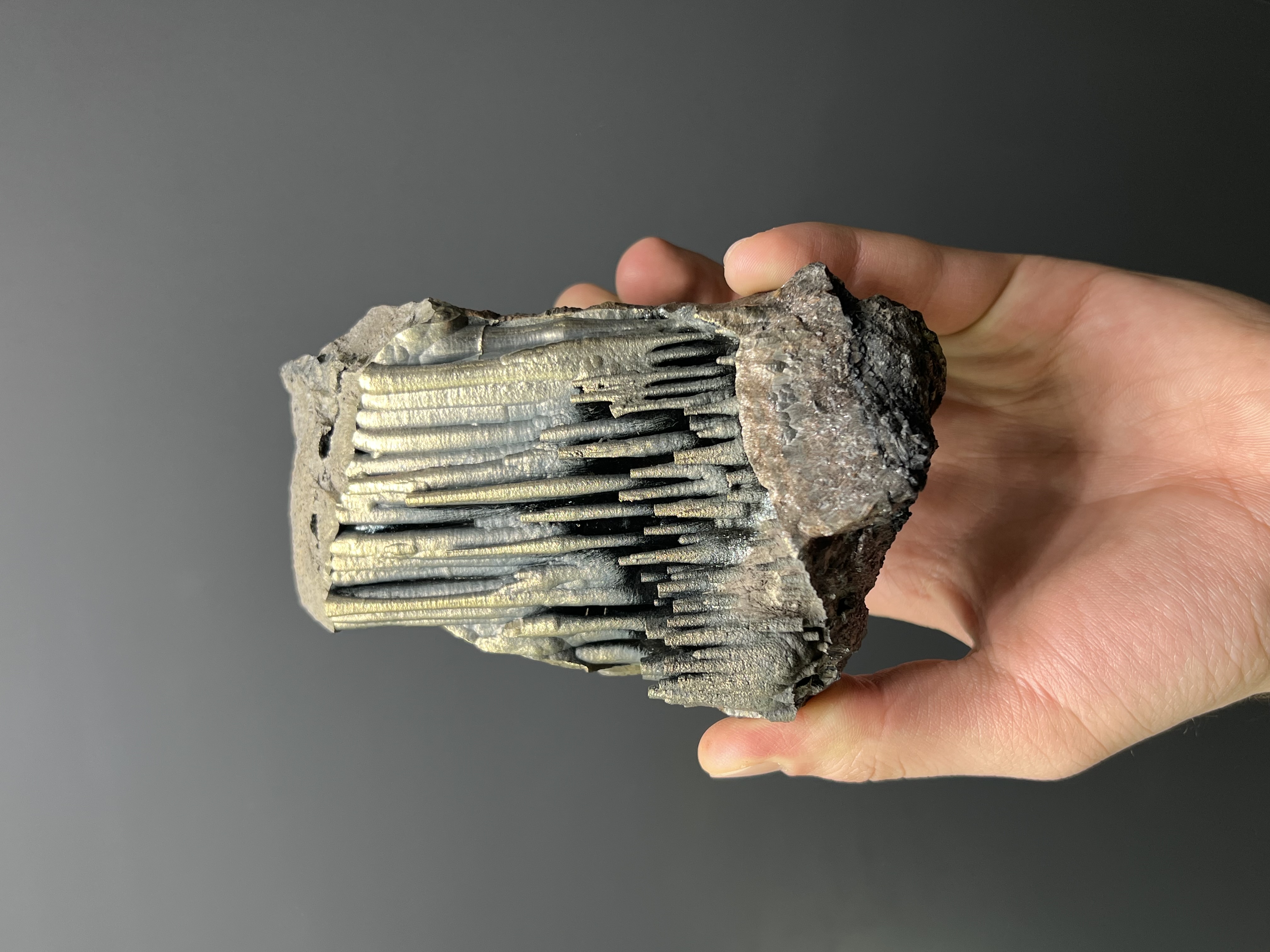 Museum Quality Golden Color Stalactite Goethite 