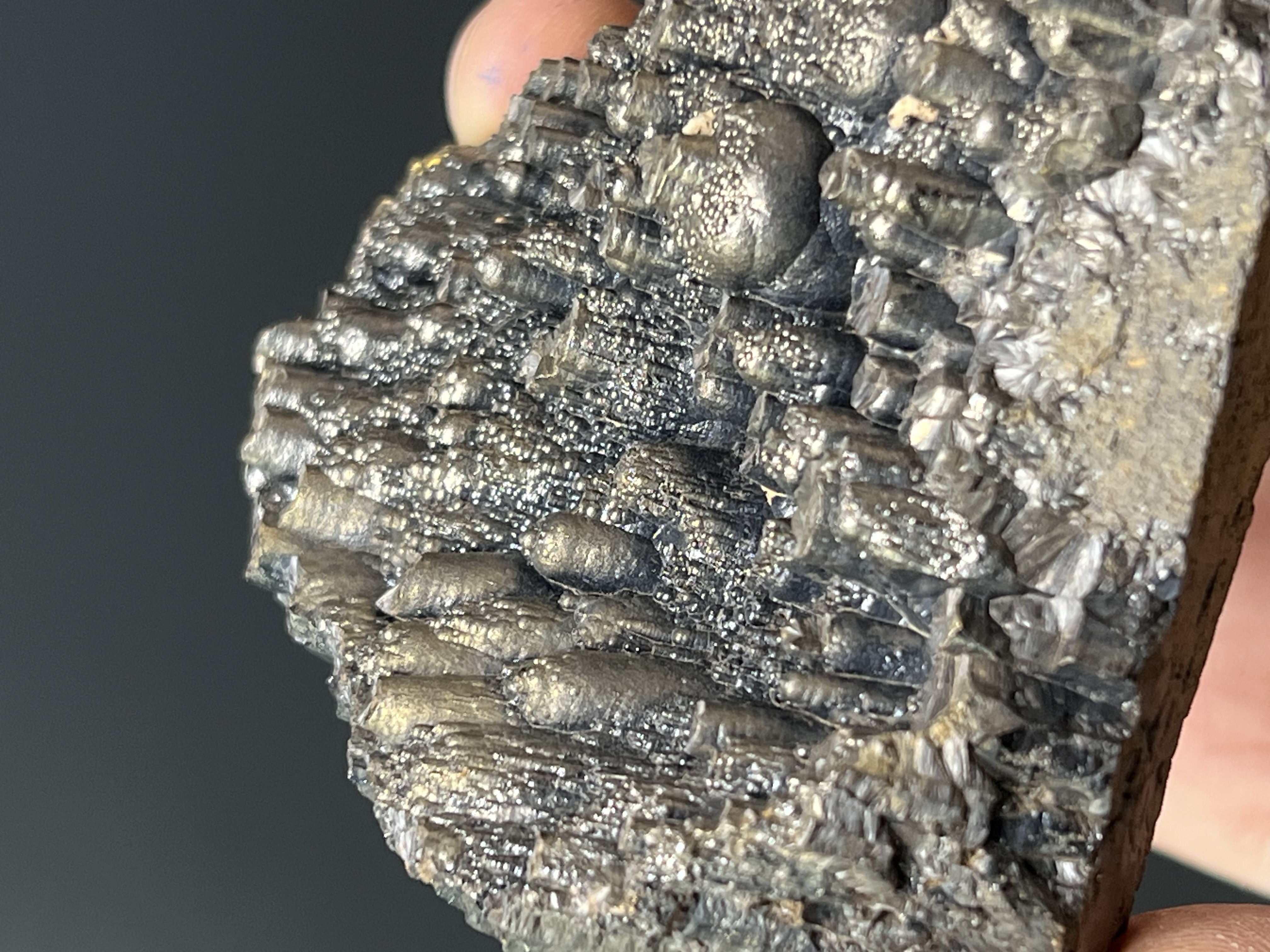 Museum Quality! Golden Color Small Stalactites Goethite 