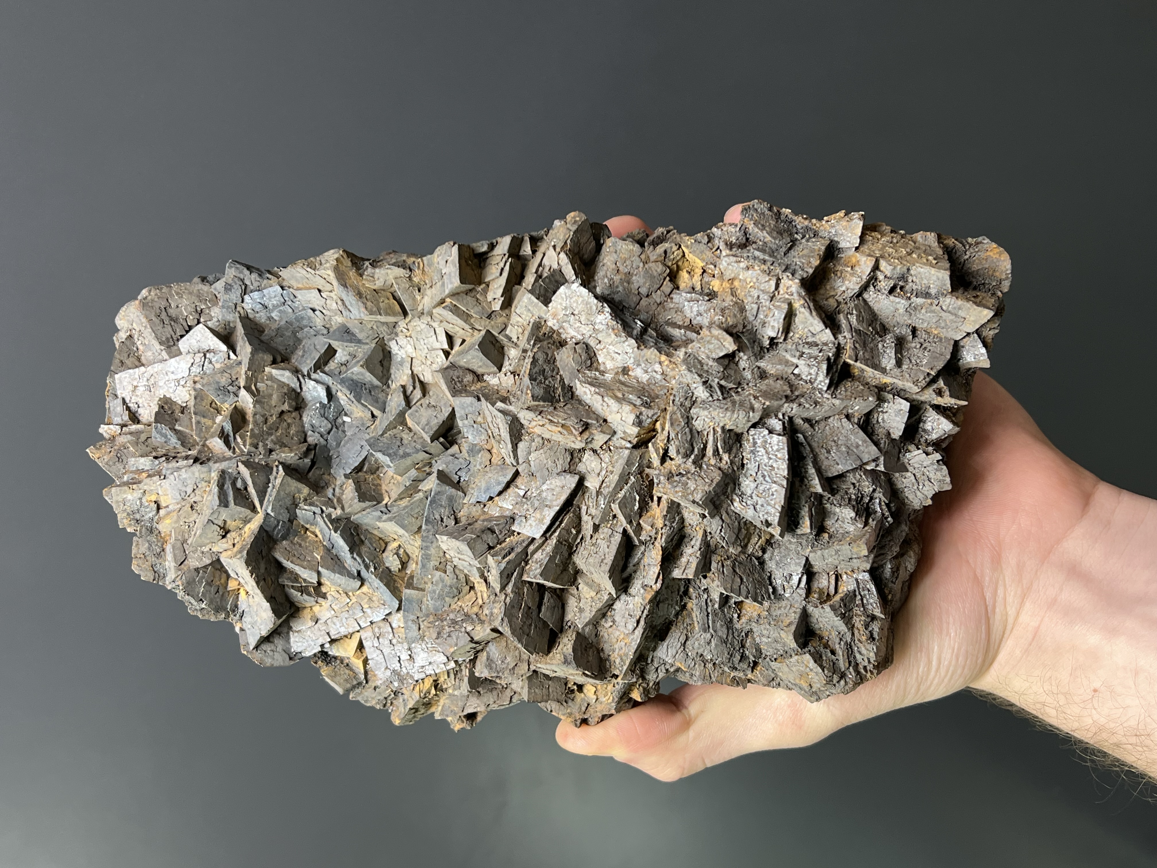 Very Special! Limonite Alloy Iron Siderite