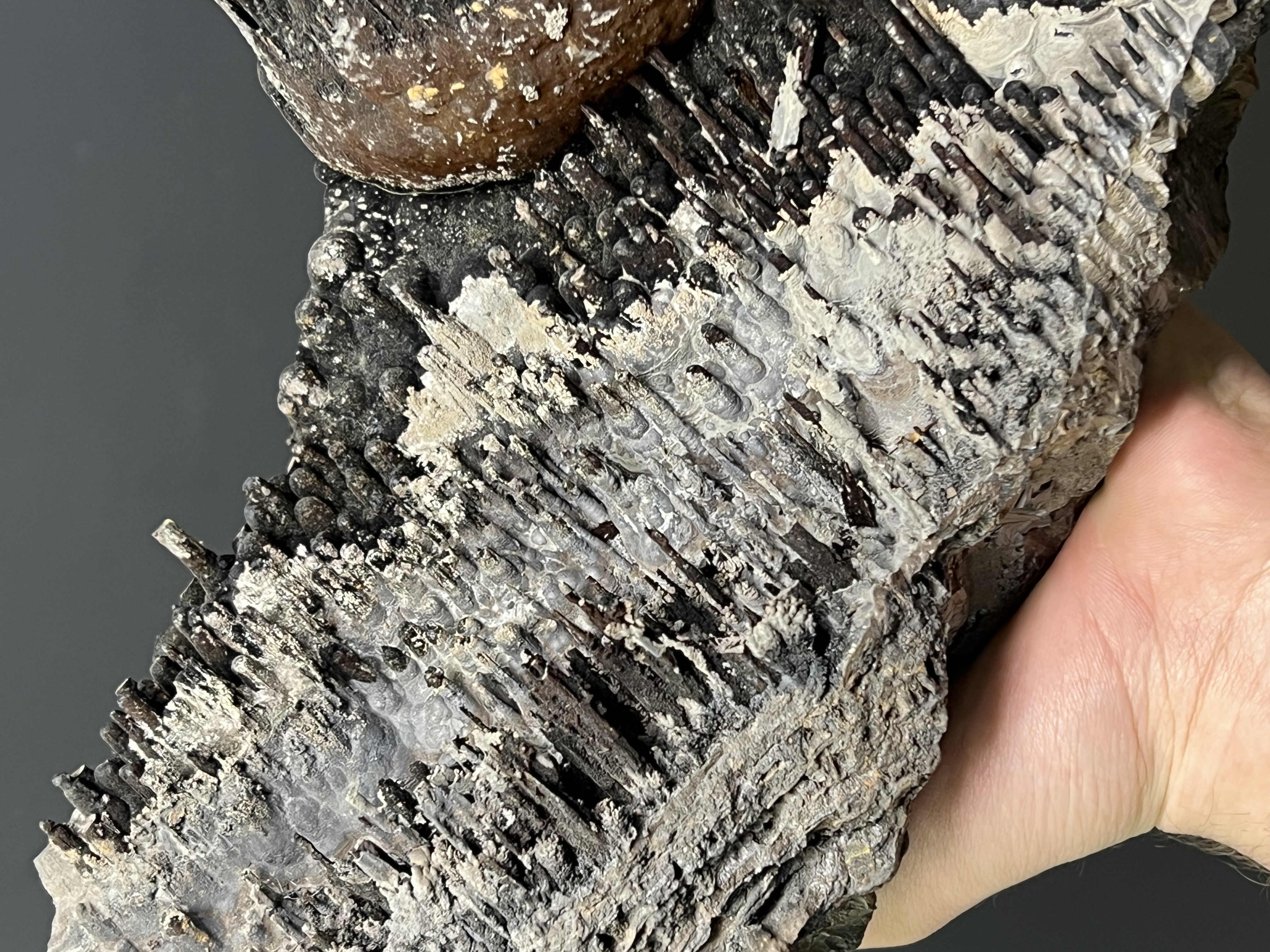 Museum Quality! Very Special, Limonite And Specularite With Stalactite Goethtie