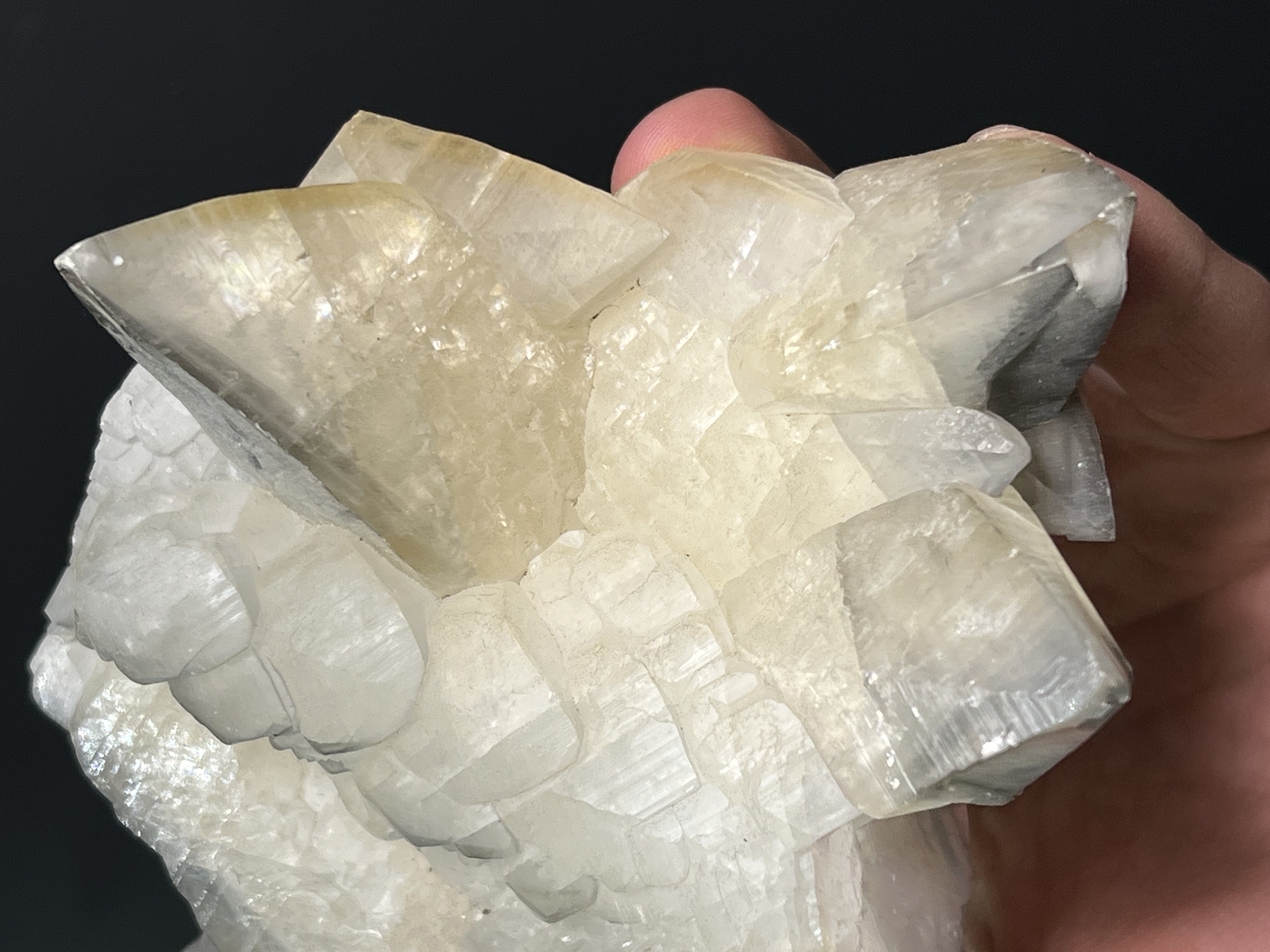 Gray And White Tooth Crystal Calcite