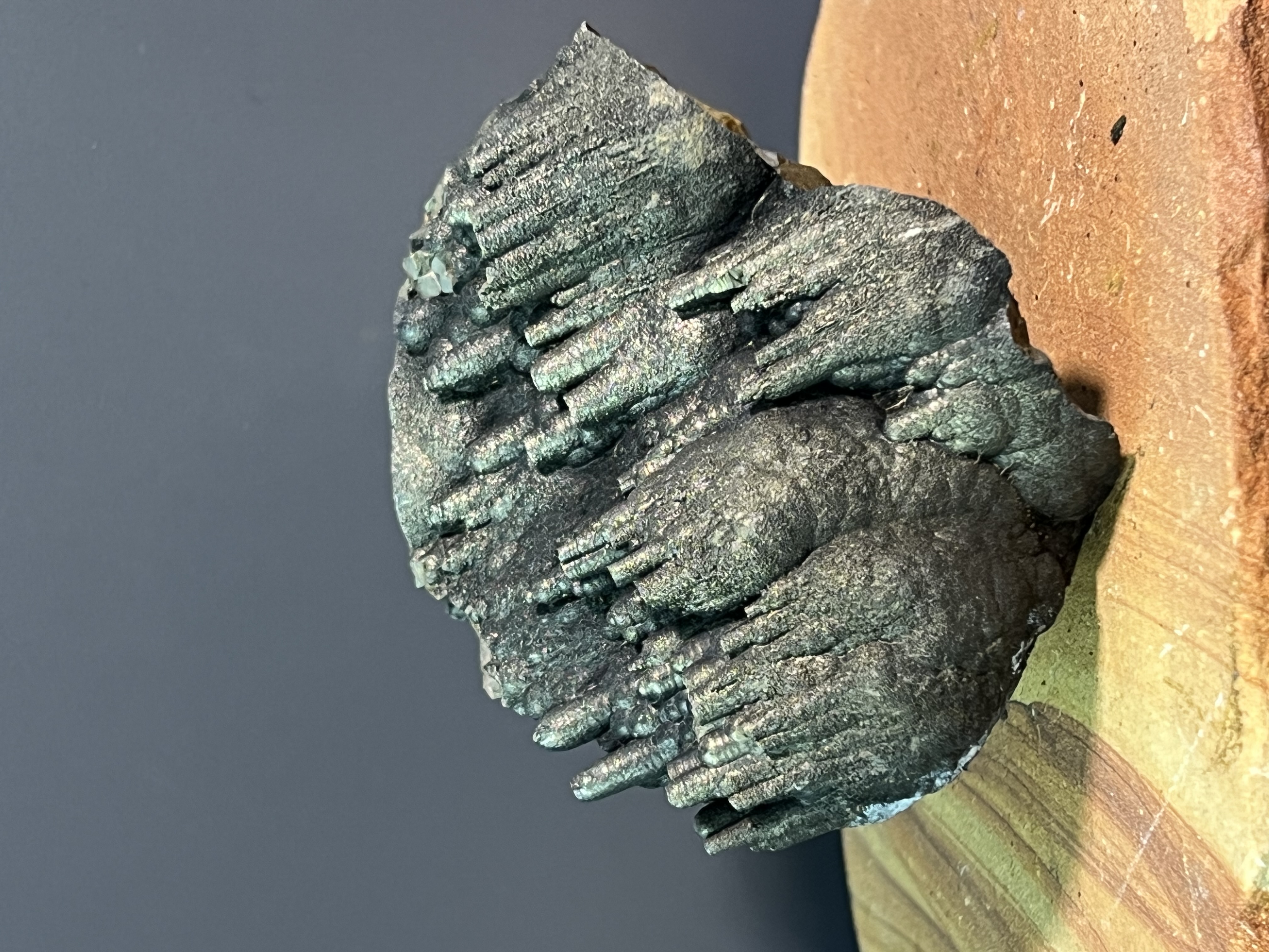 Museum Quality! Very Showy And Special Golden Color Stalactite Goethite 