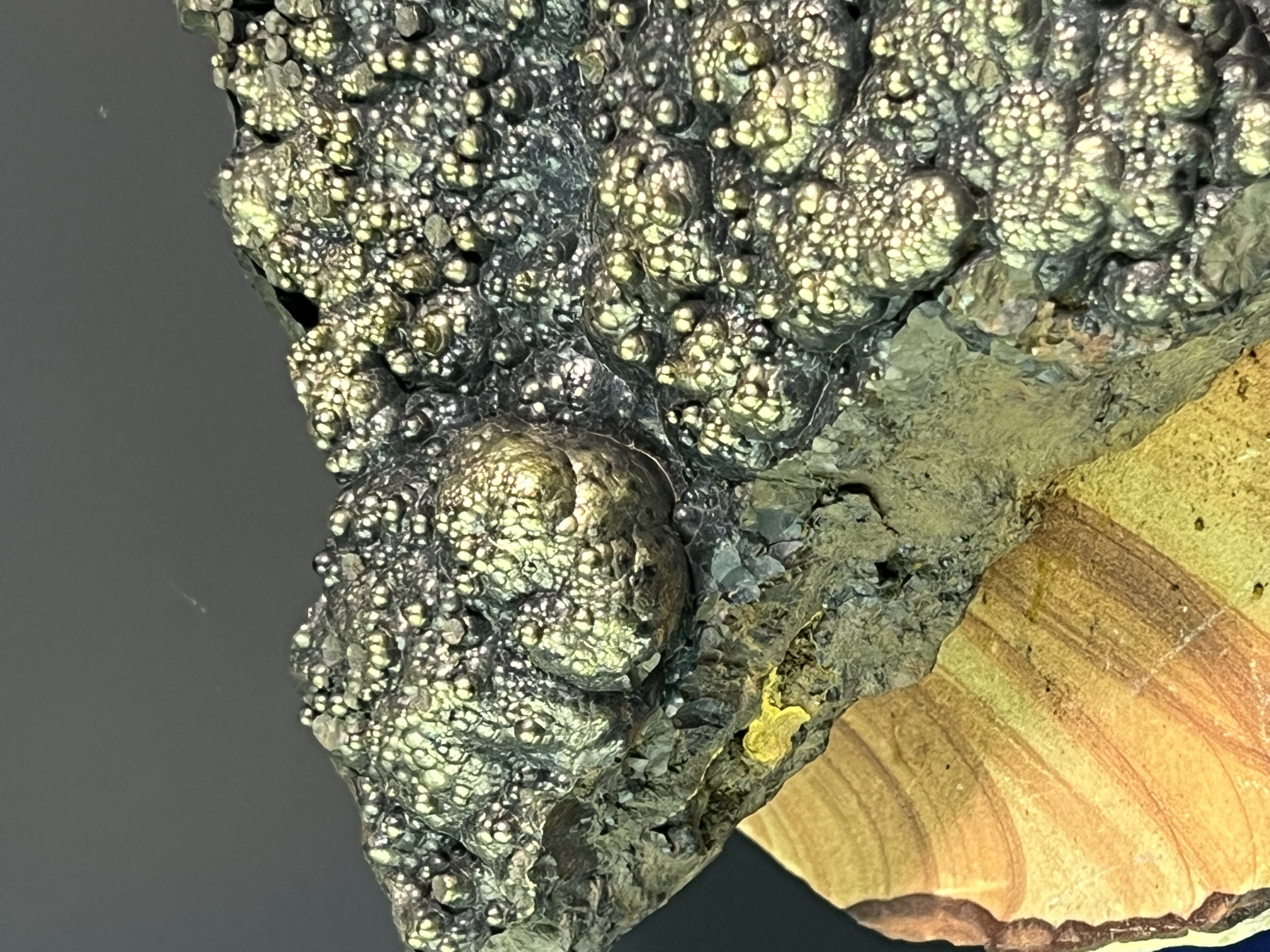 Museum Quality Very Special Golden Color Botryoidal Goethite