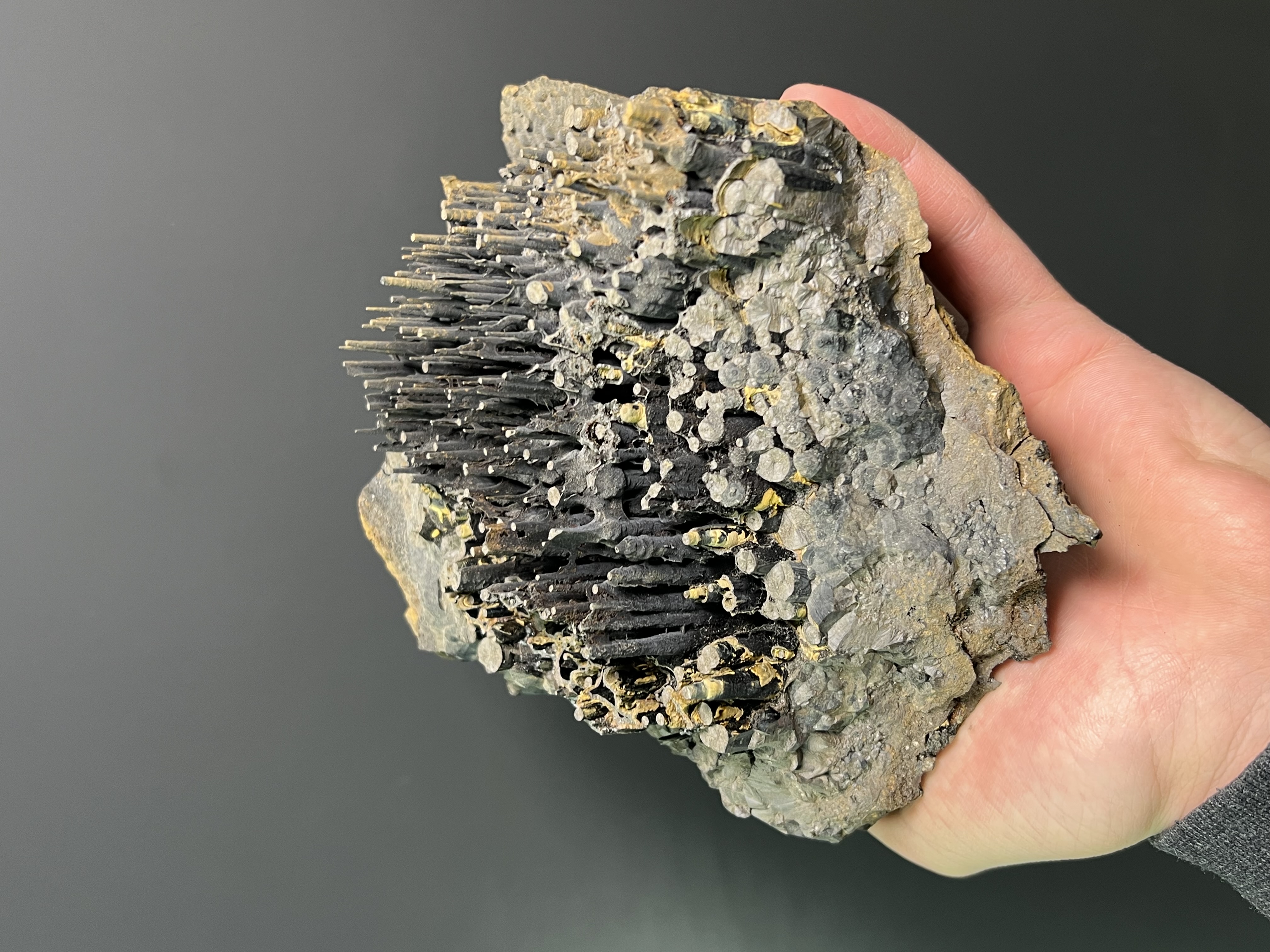 Museum Quality Very Special Limonite Alloy Stalactite Goethite