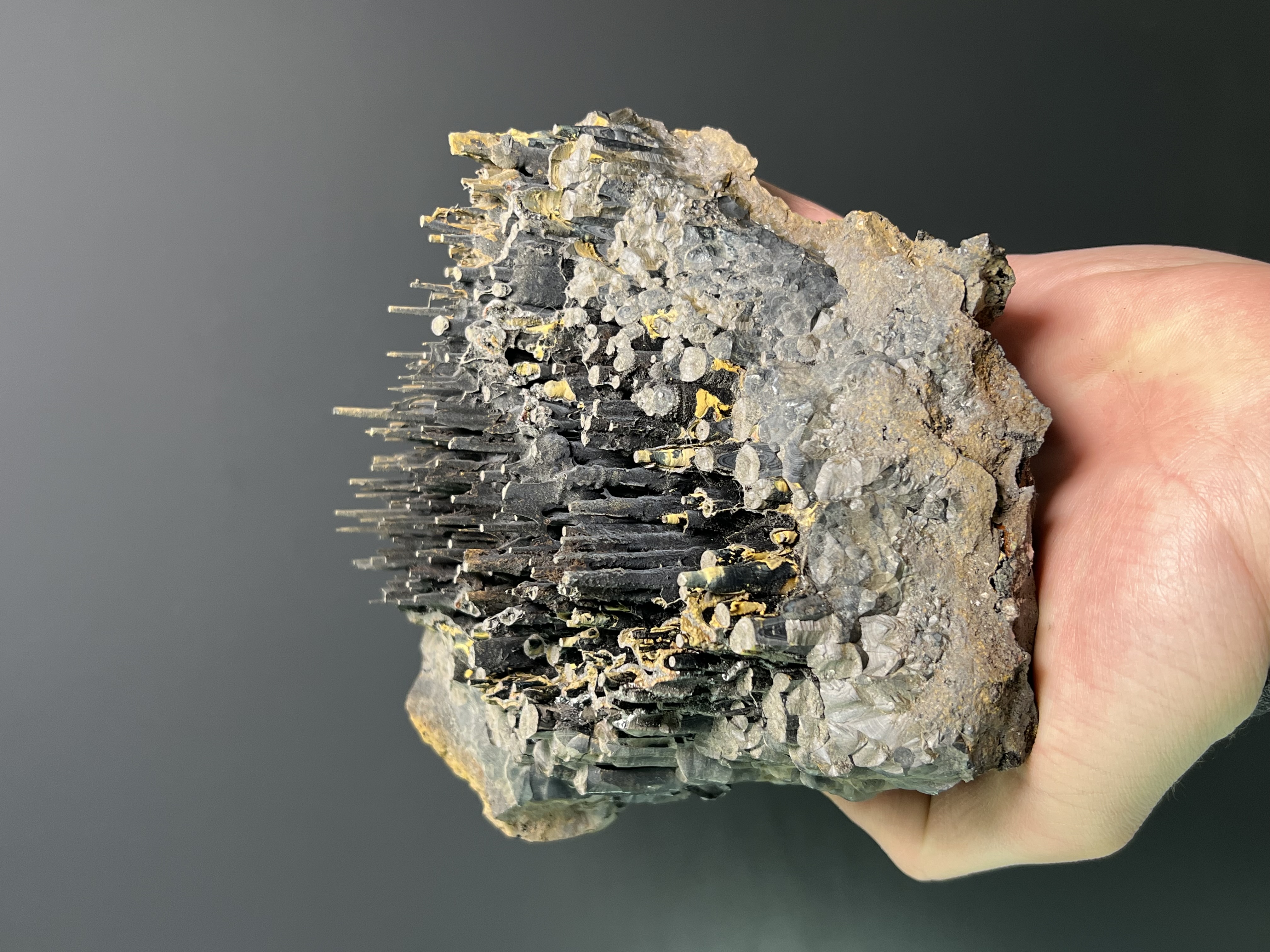 Museum Quality Very Special Limonite Alloy Stalactite Goethite
