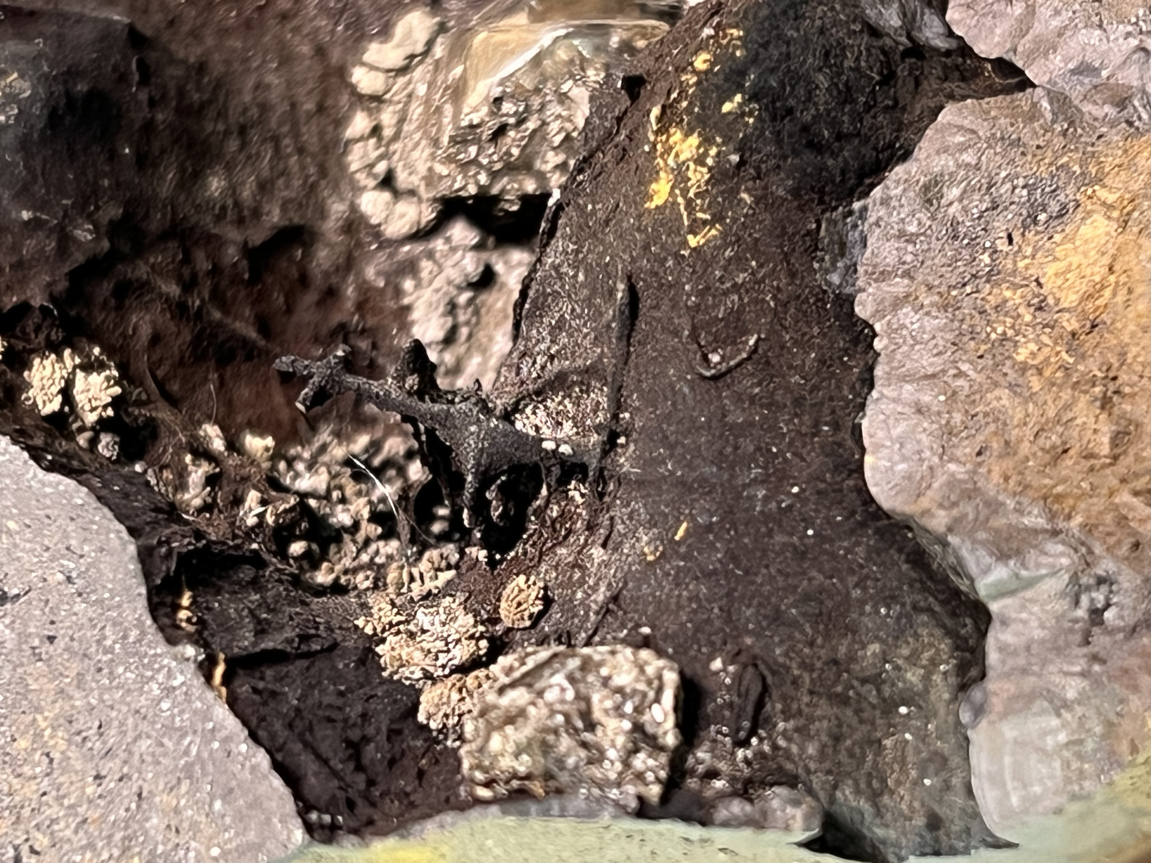 Very Unique Museum Piece, Specularite And Crystal Barite On Goethite
