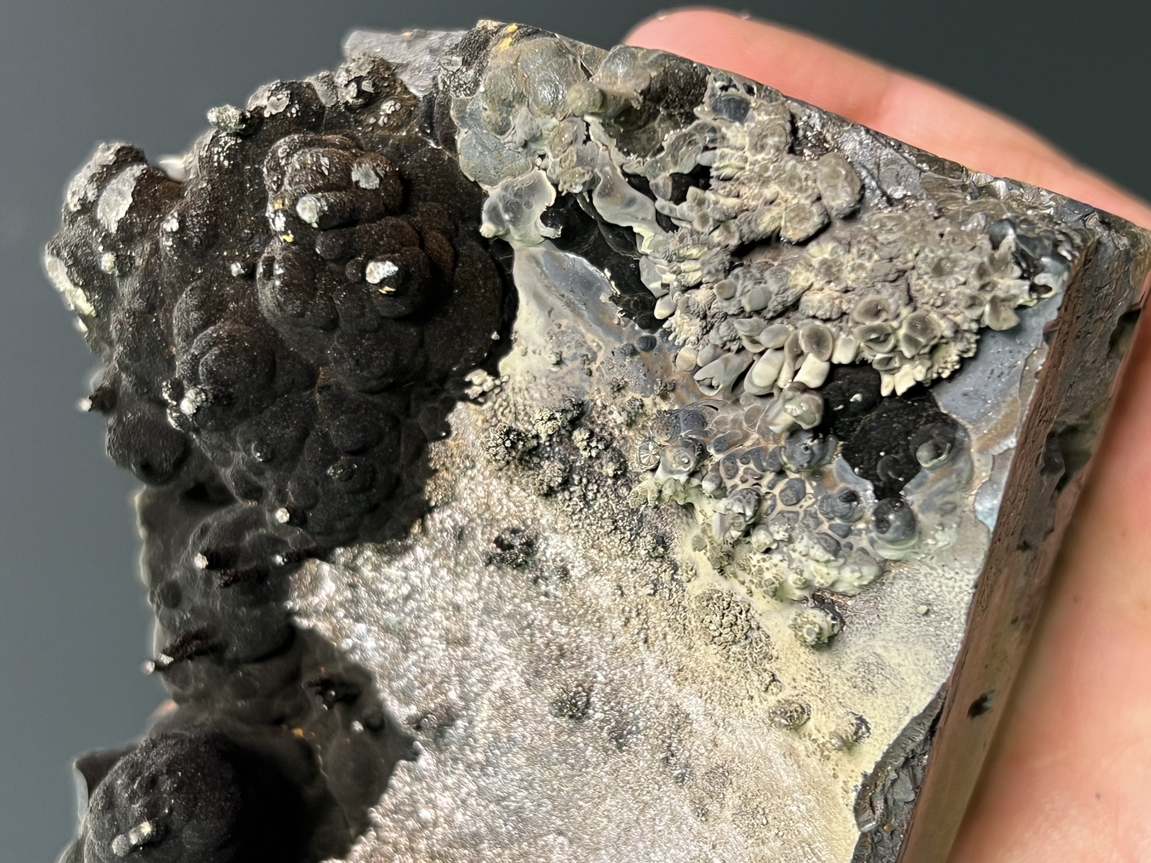Museum Quality, Special Piece! Specularite With Small Stalactites Goethite
