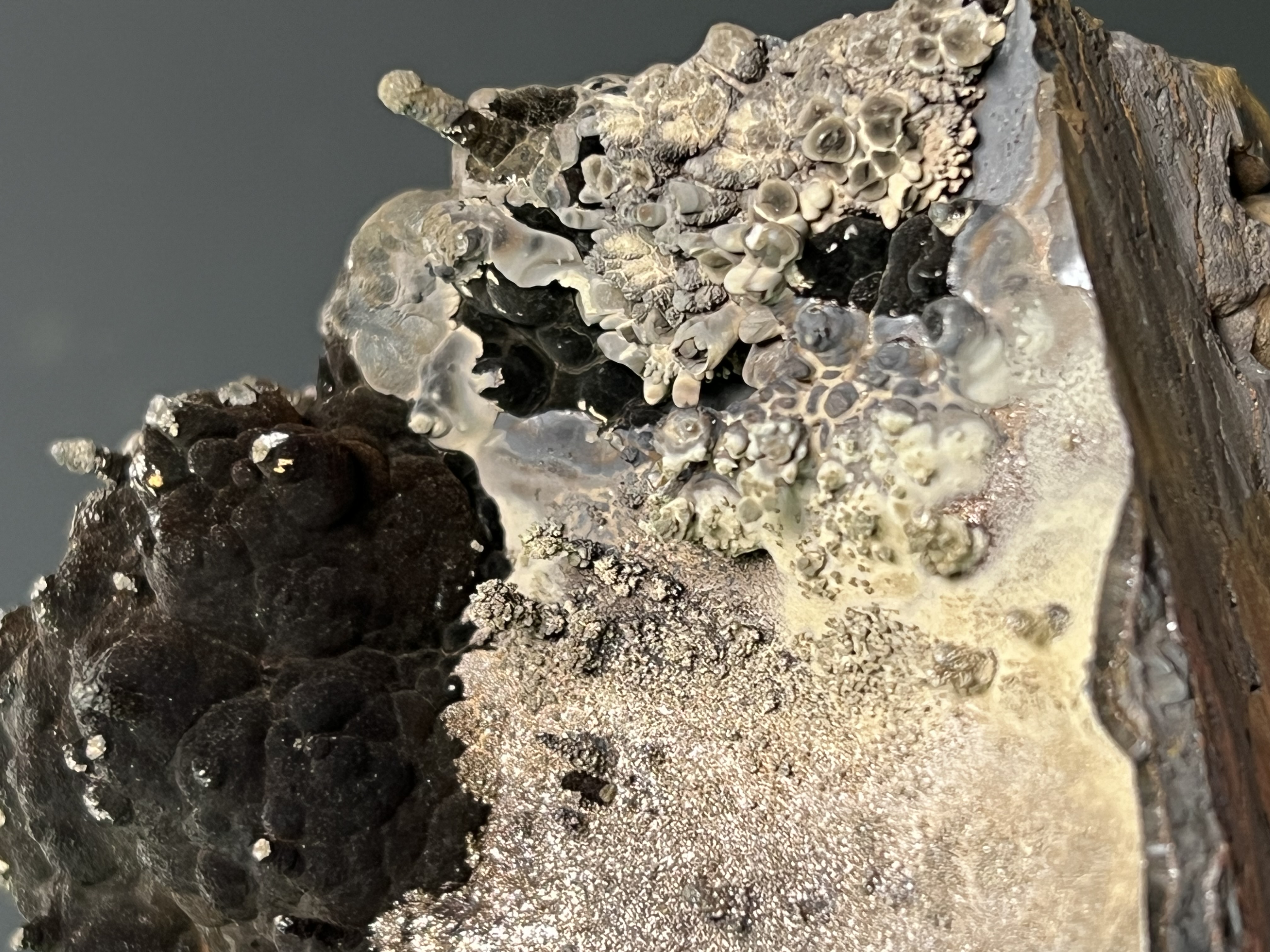 Museum Quality, Special Piece! Specularite With Small Stalactites Goethite