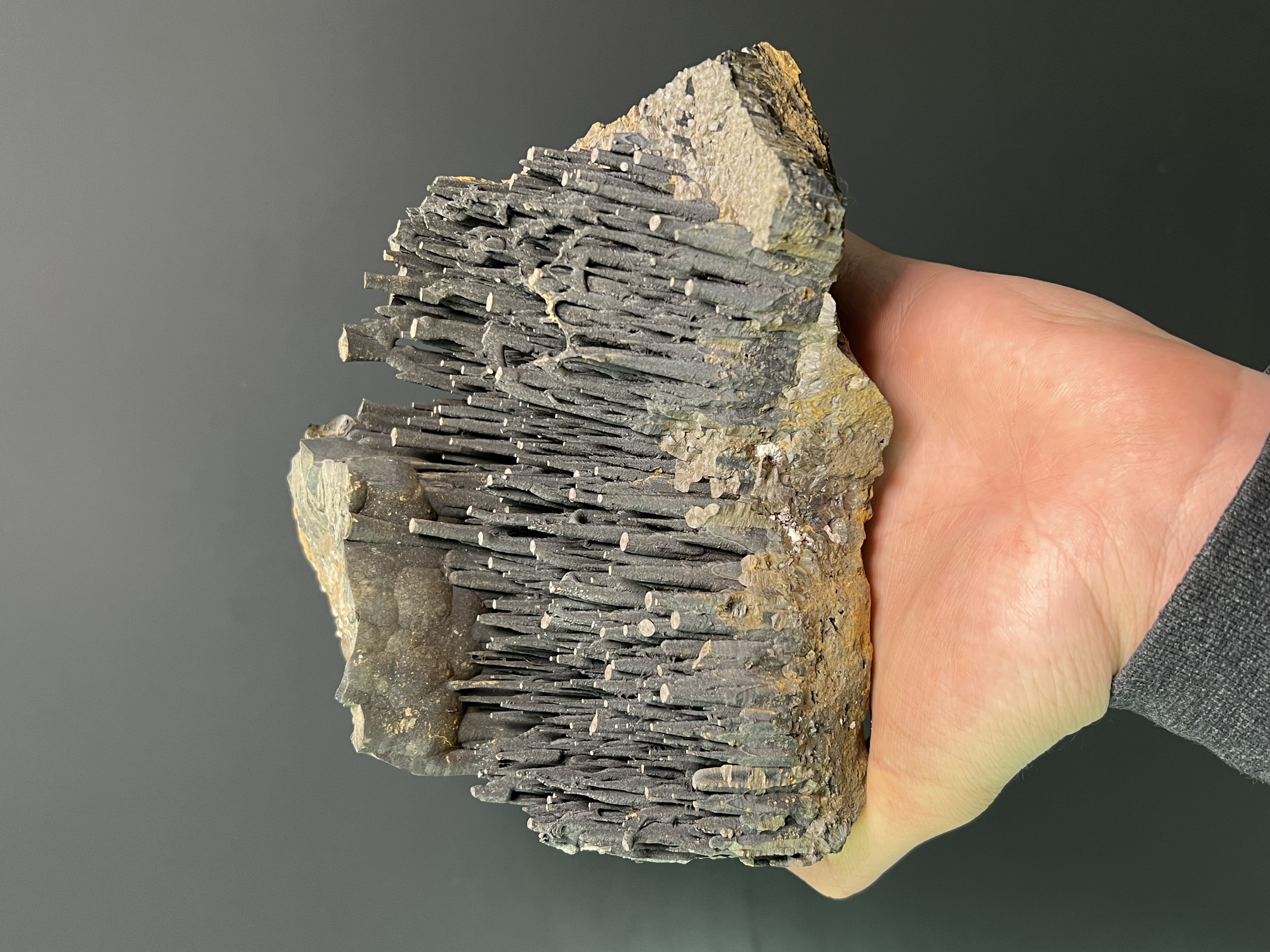 Museum Quality Very Special Stalactite Goethite 