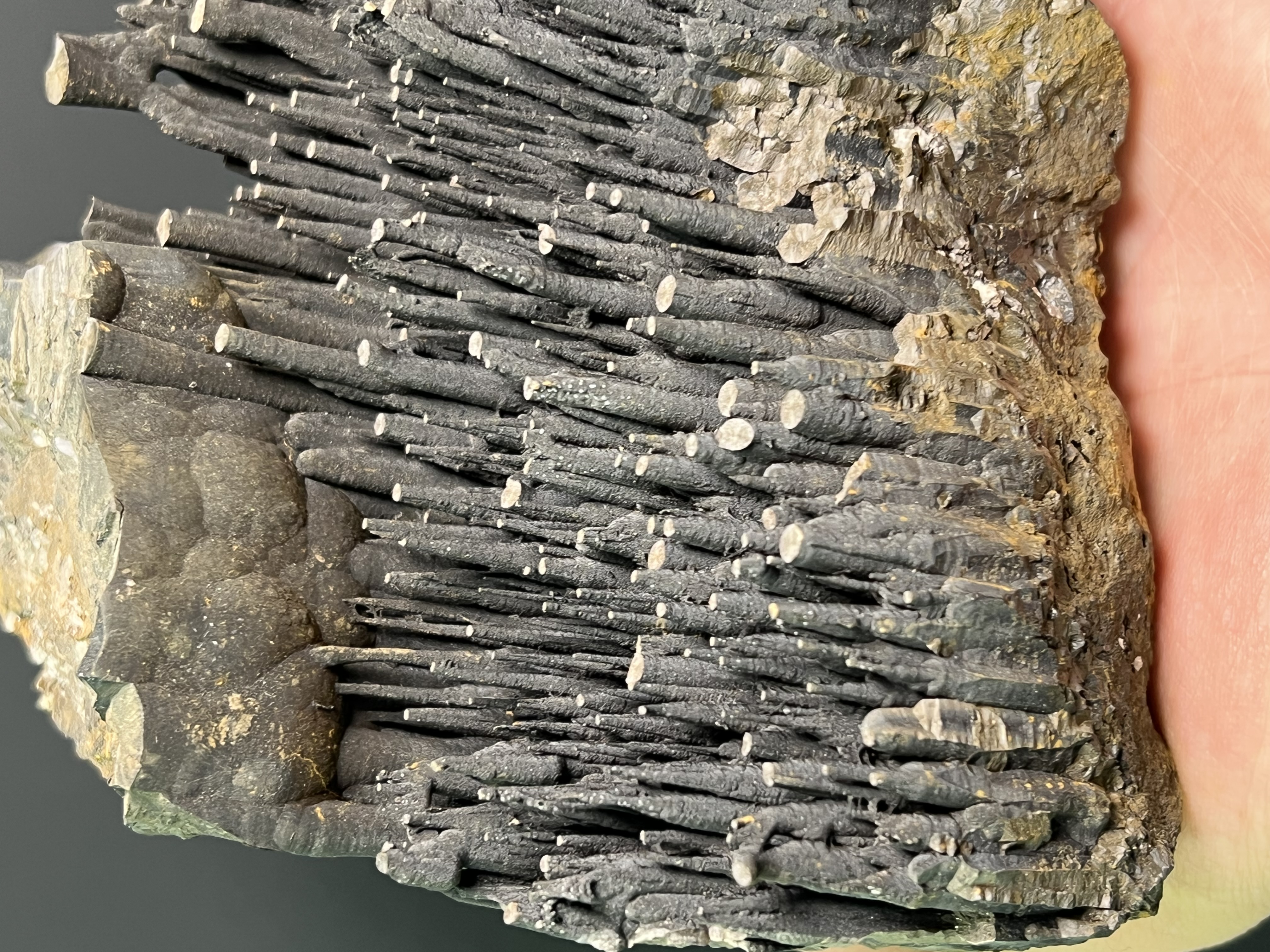 Museum Quality Very Special Stalactite Goethite 