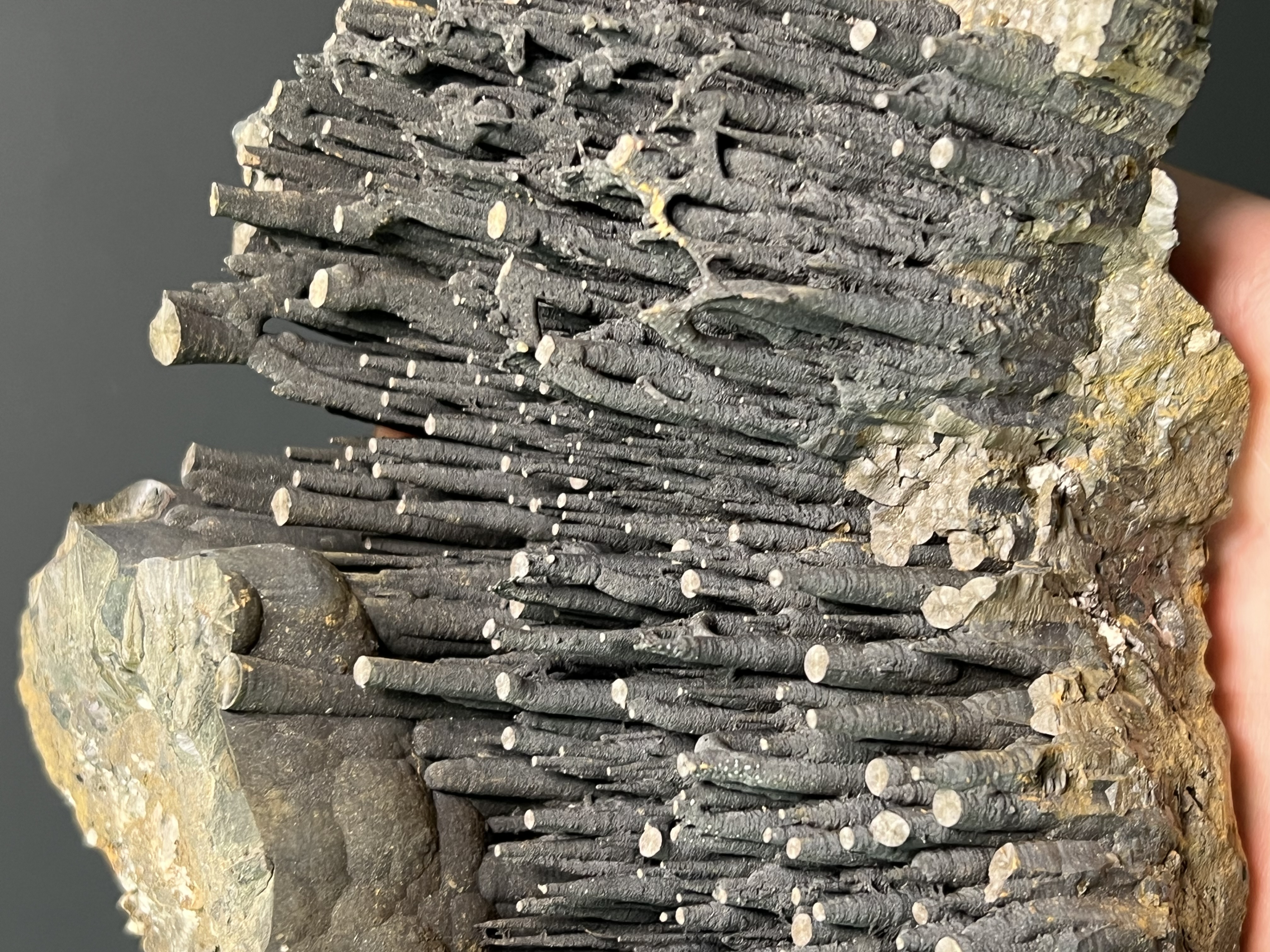 Museum Quality Very Special Stalactite Goethite 