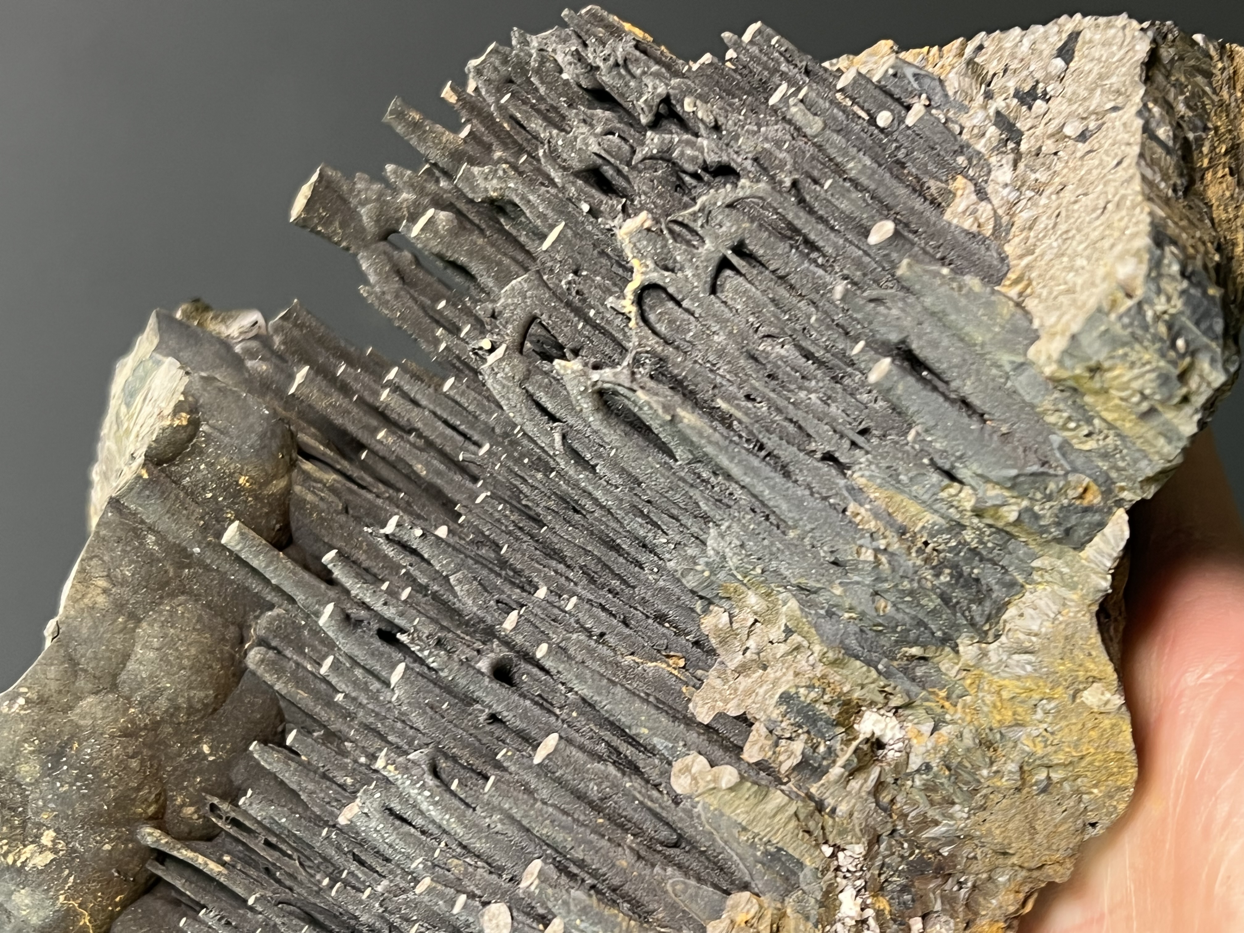 Museum Quality Very Special Stalactite Goethite 