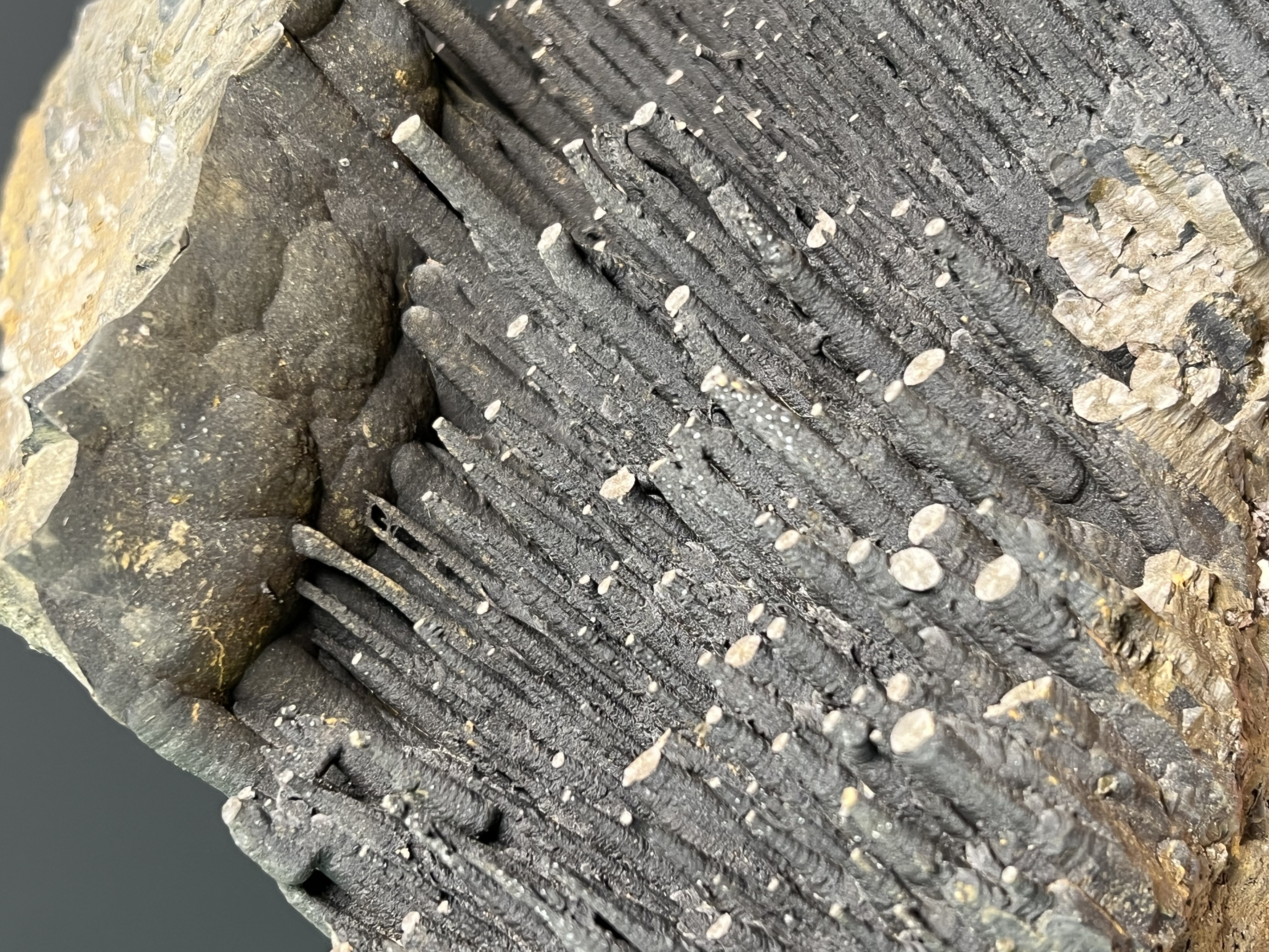 Museum Quality Very Special Stalactite Goethite 