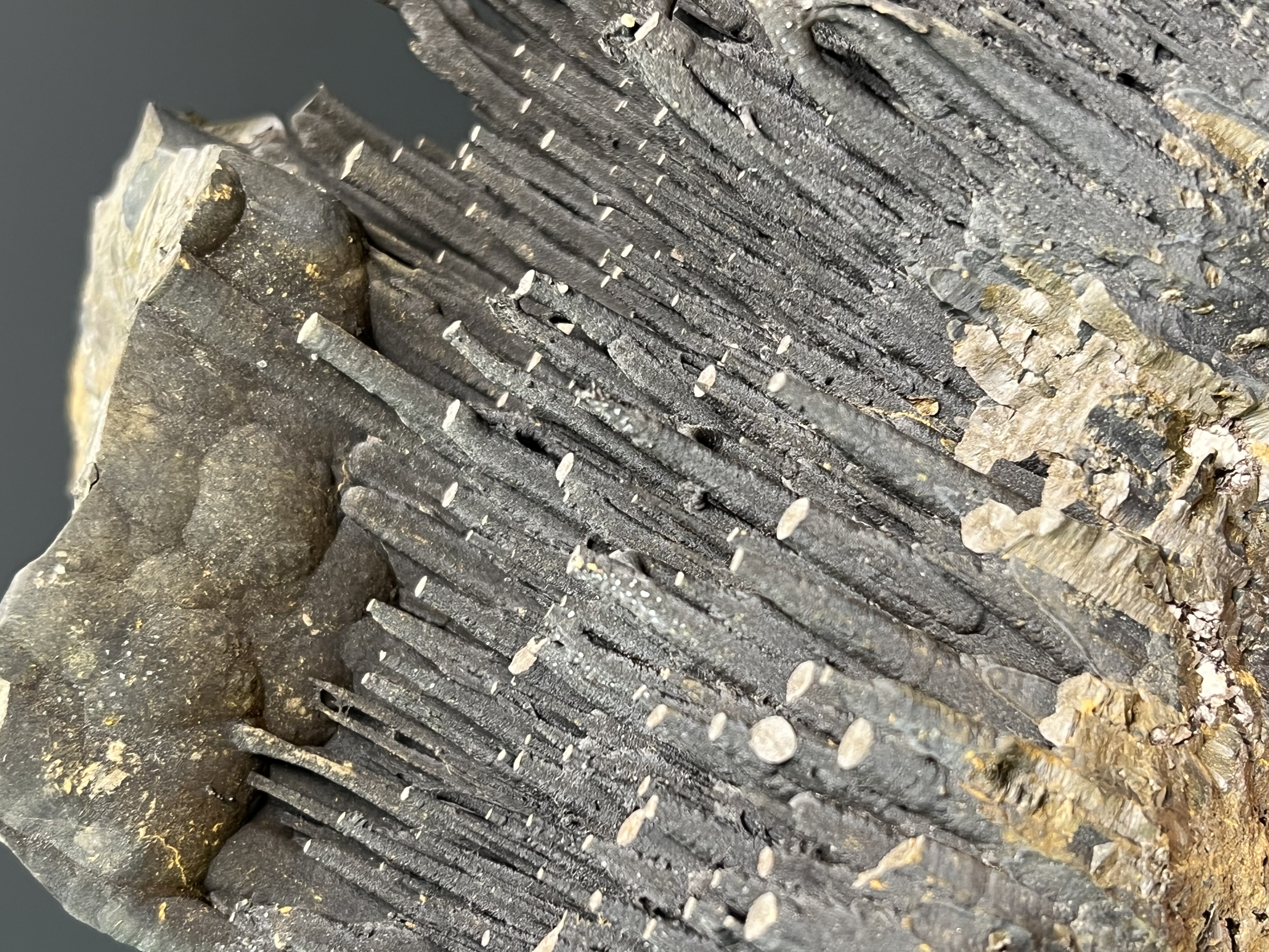 Museum Quality Very Special Stalactite Goethite 