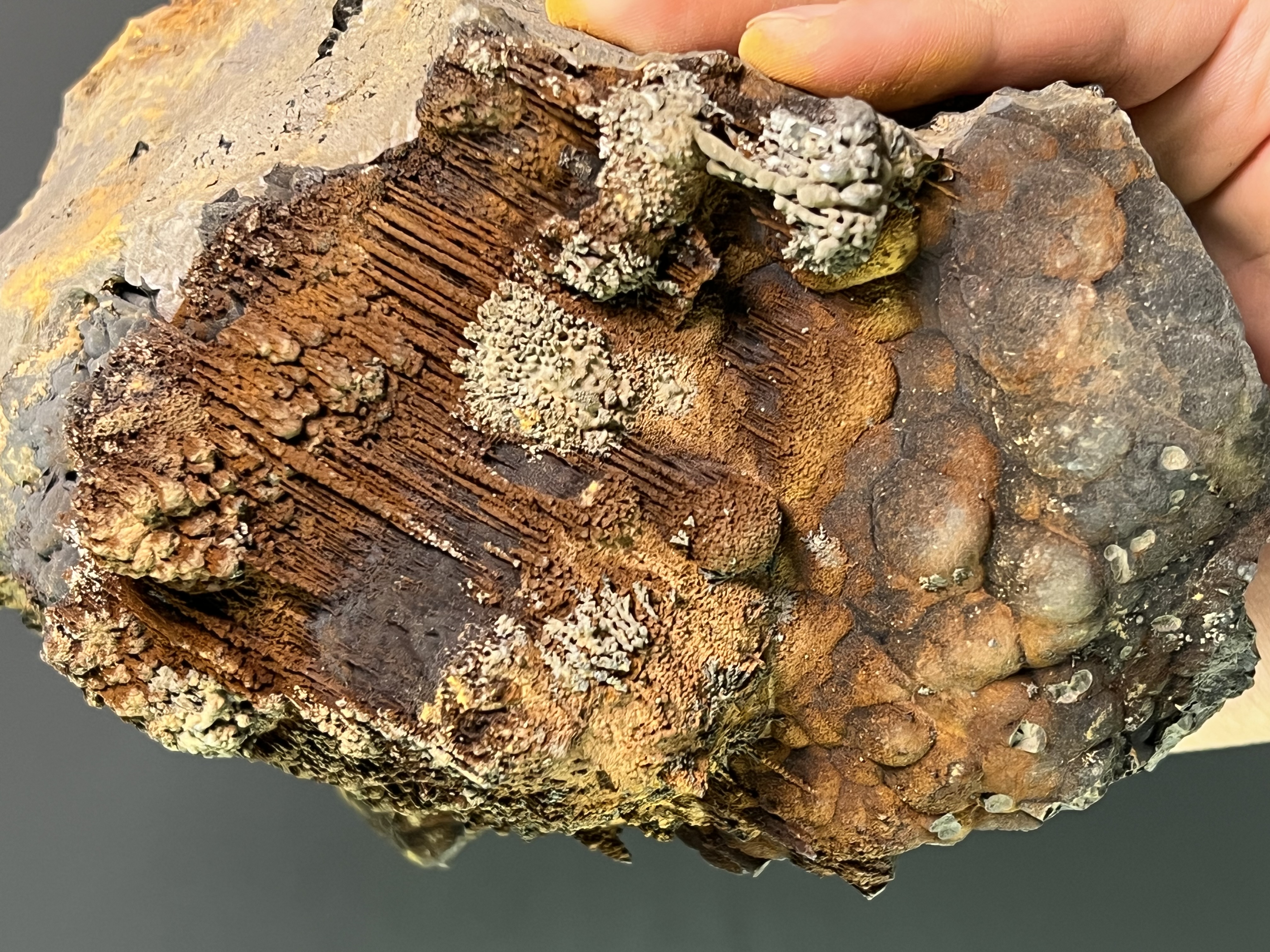 Museum Quality, Very Special Limonite And Specularite On Stalactite And Botryoidal Goethite 