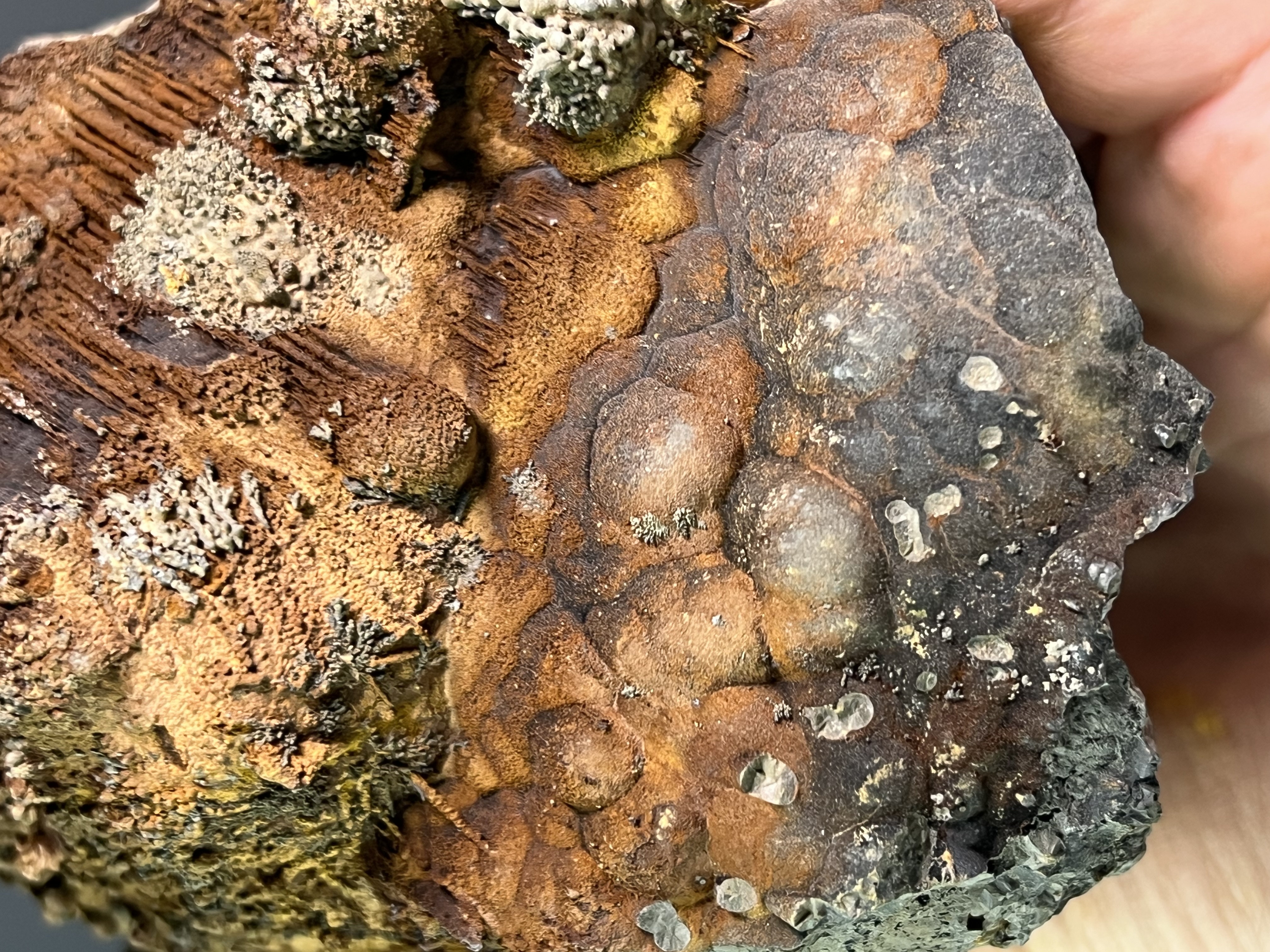 Museum Quality, Very Special Limonite And Specularite On Stalactite And Botryoidal Goethite 