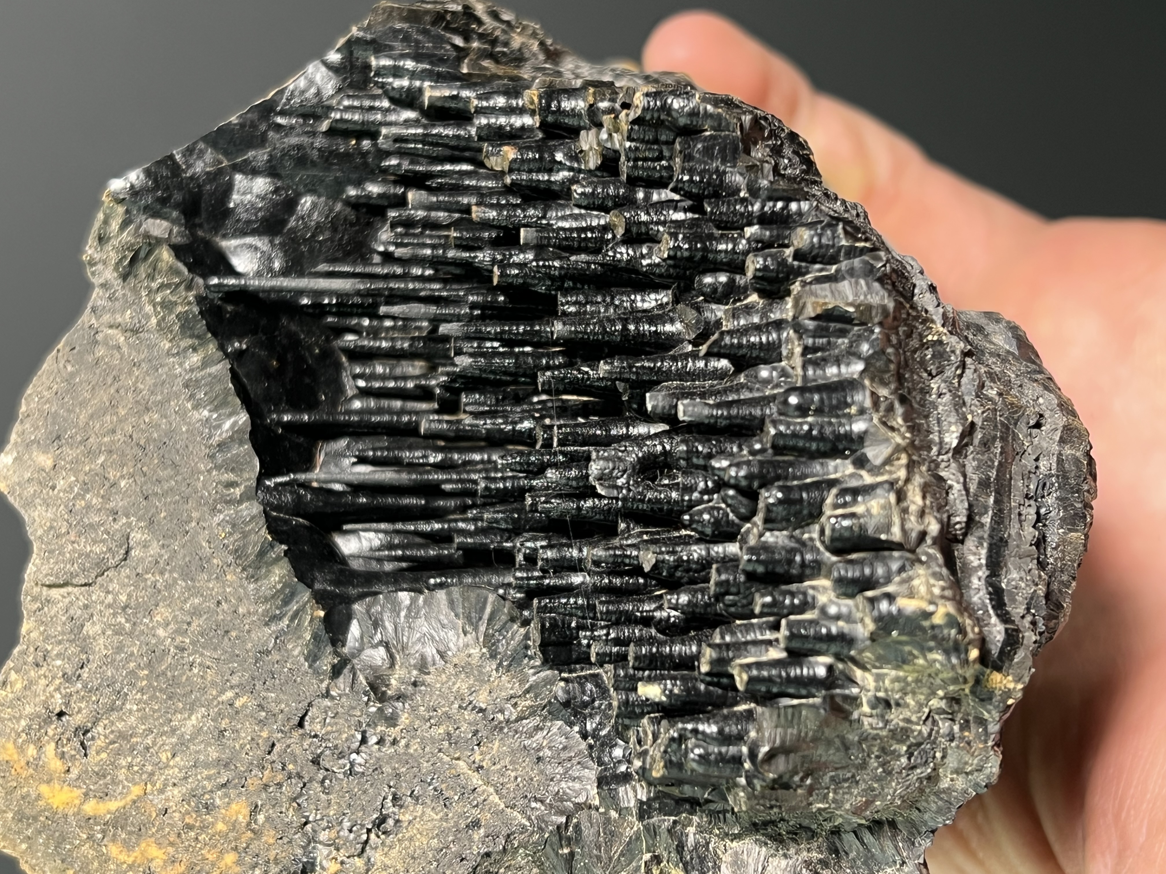 Museum Quality Very Special Stalactite Goethite 