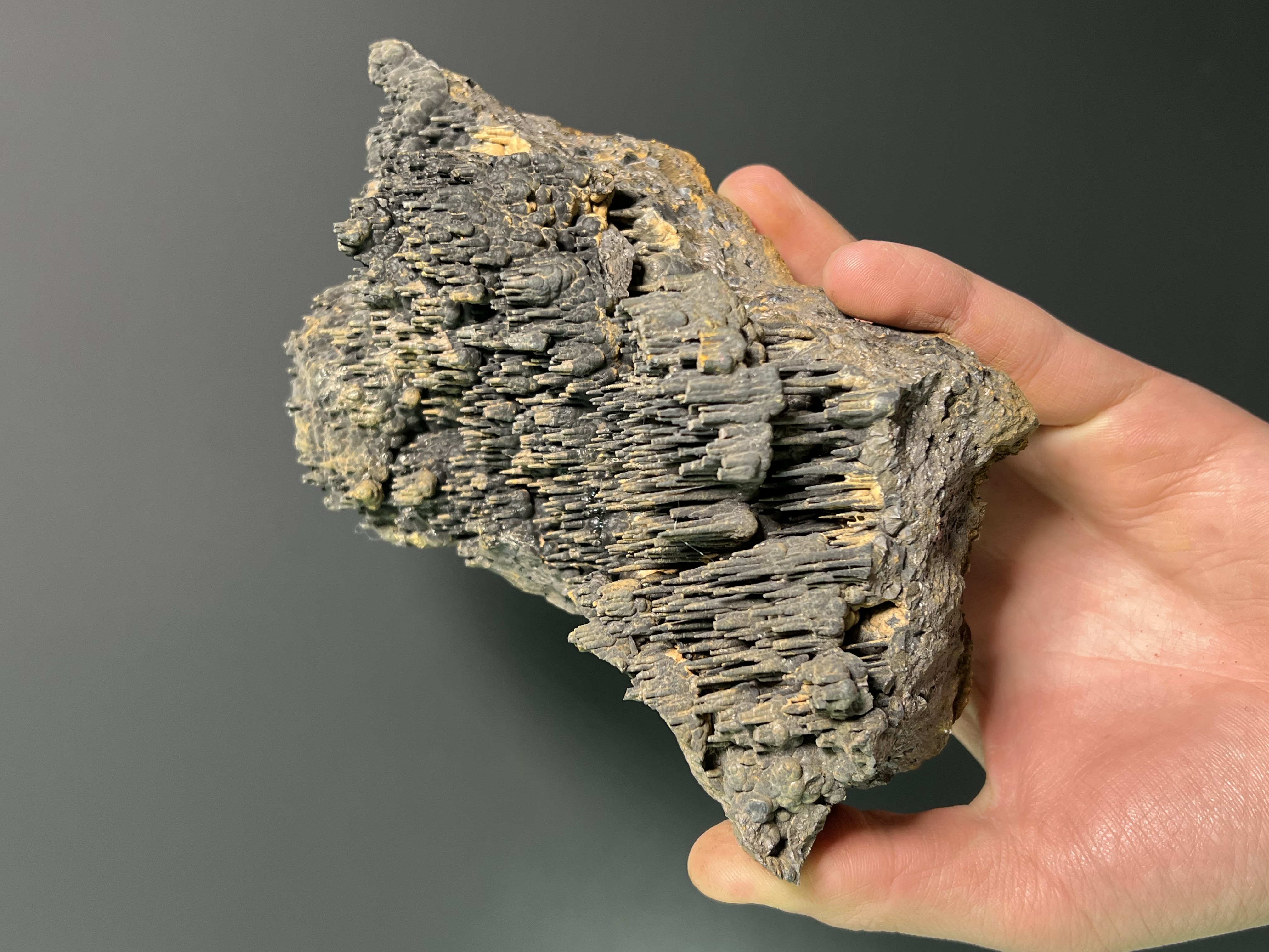 Very Special Limonite Alloy Stalactite Goethite 