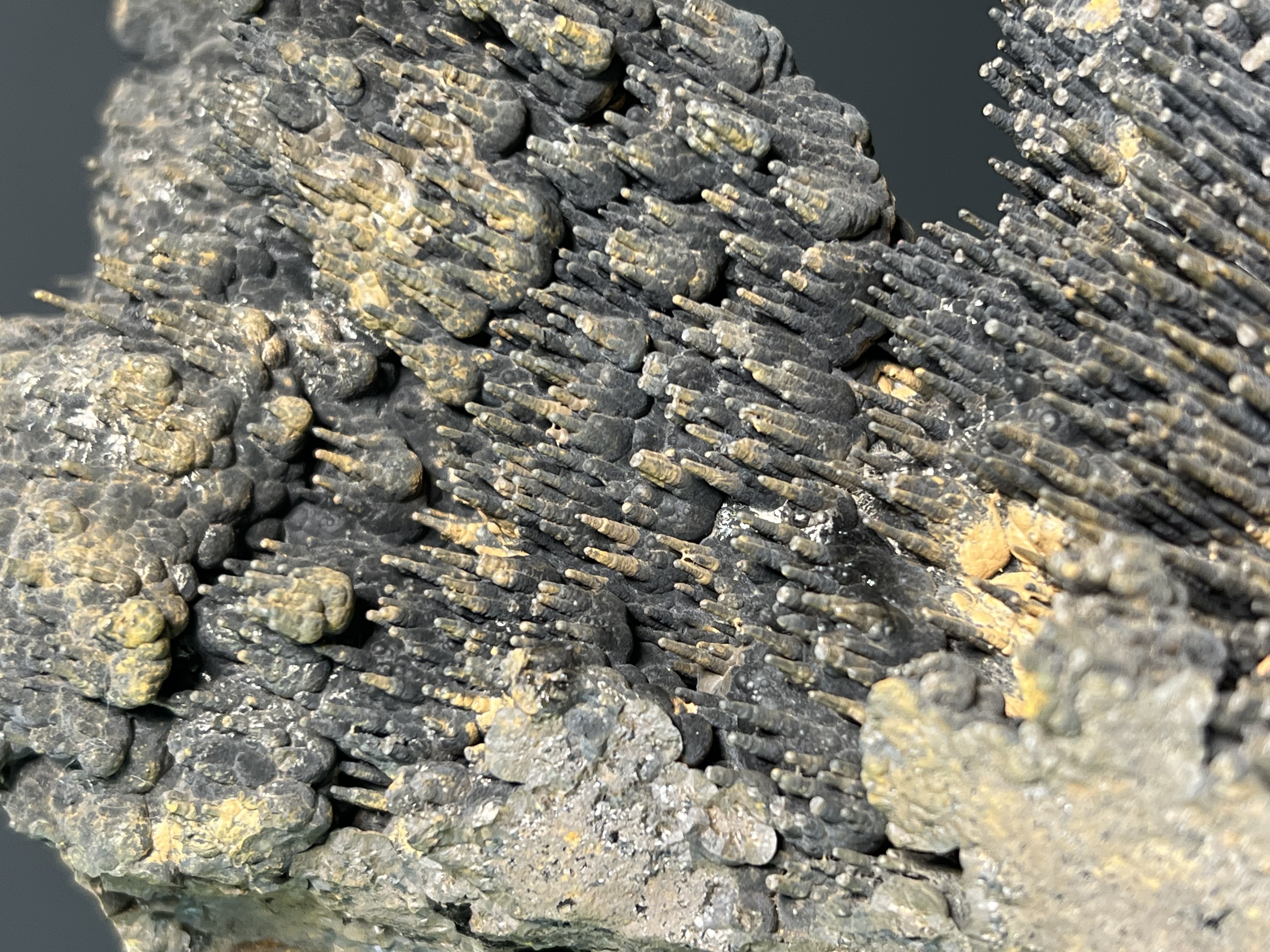 Very Special Limonite Alloy Stalactite Goethite 