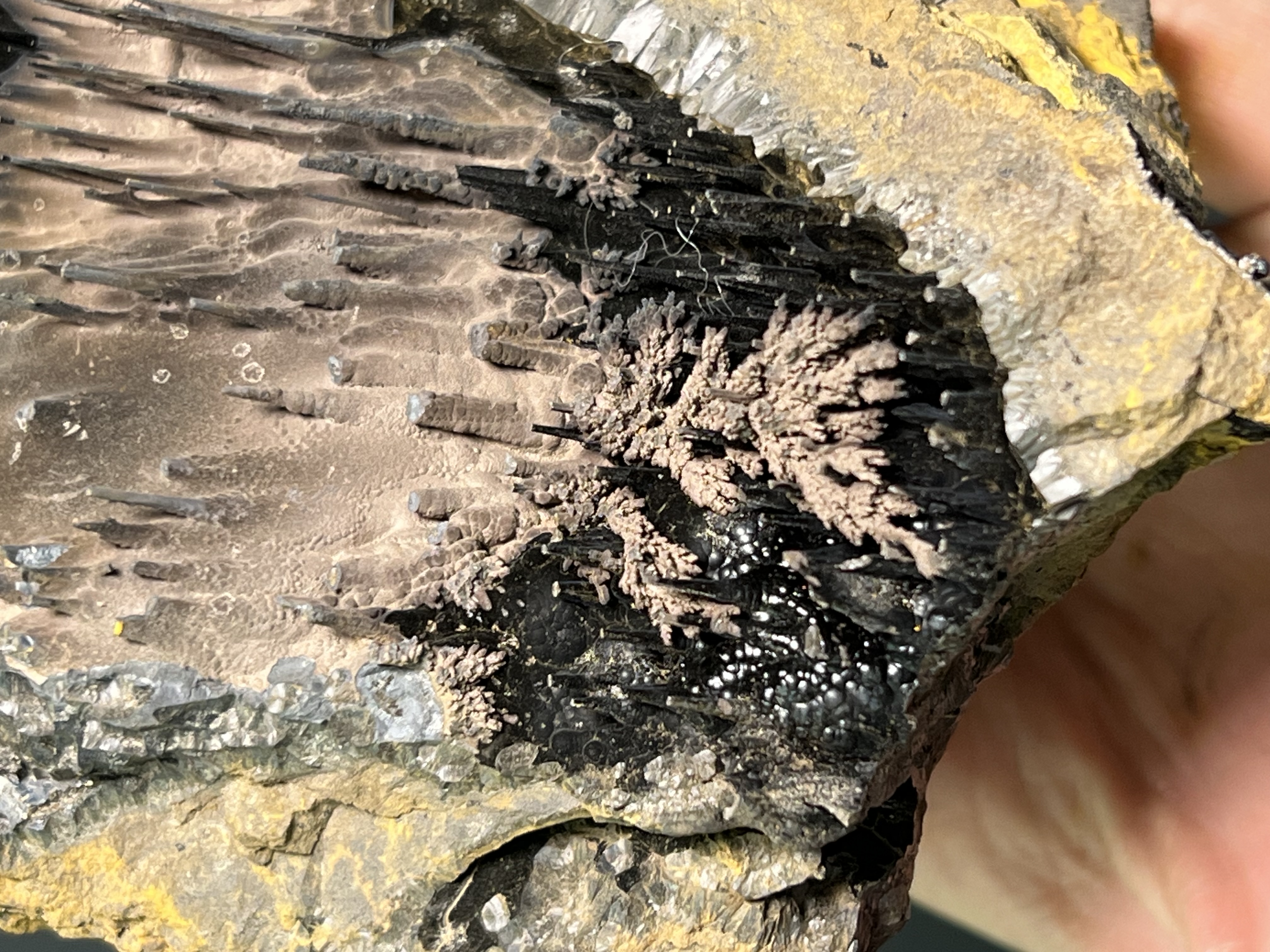 Special Formation Museum Quality Specularite With Stalactite Goethite