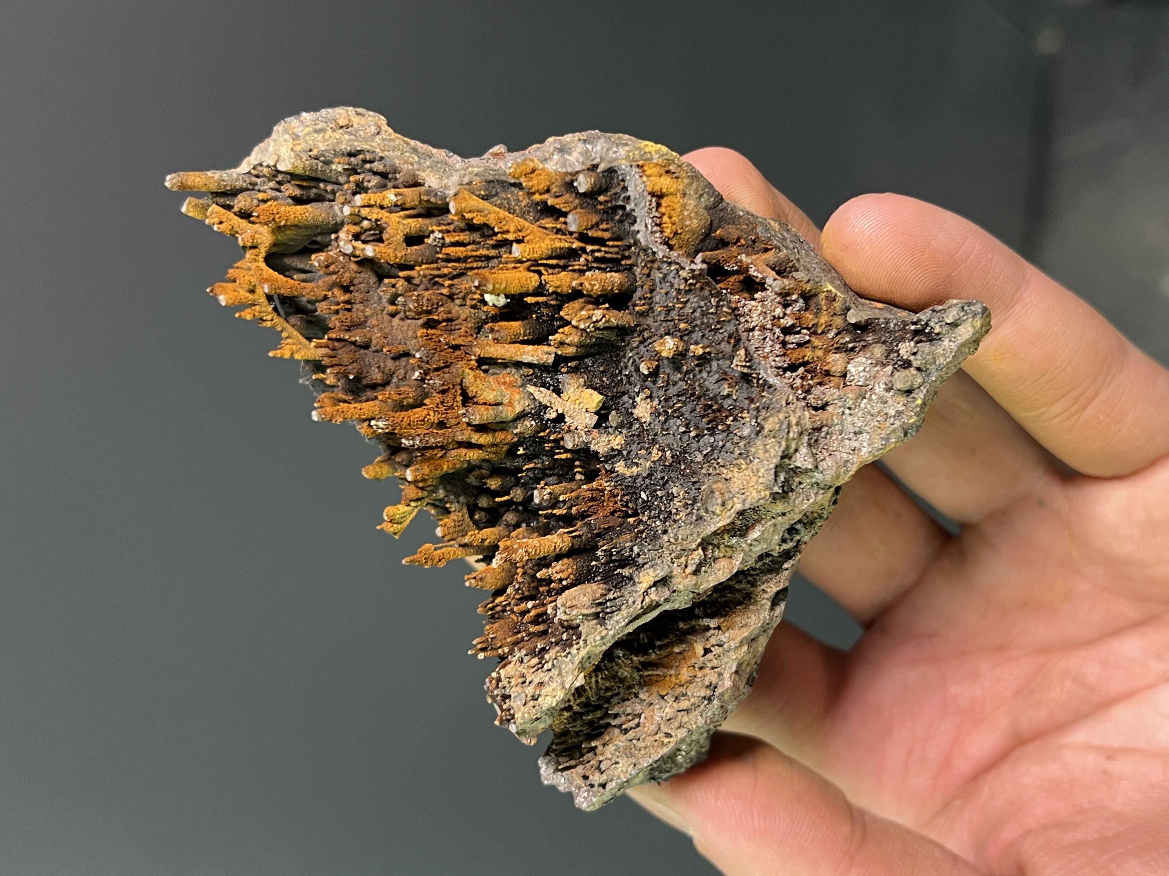Special Museum Quality Limonite On Stalactite Goethite 