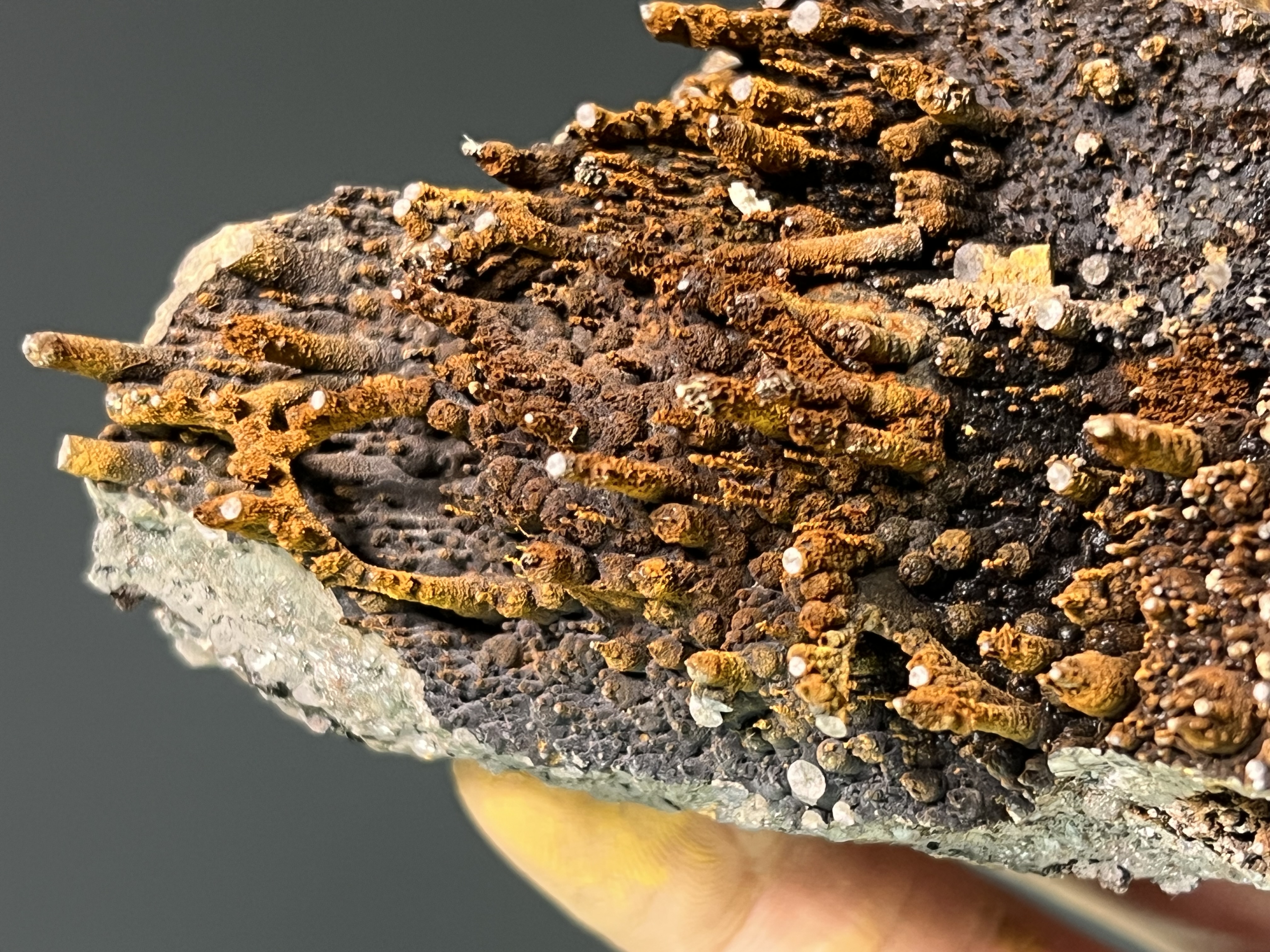 Special Museum Quality Limonite On Stalactite Goethite 