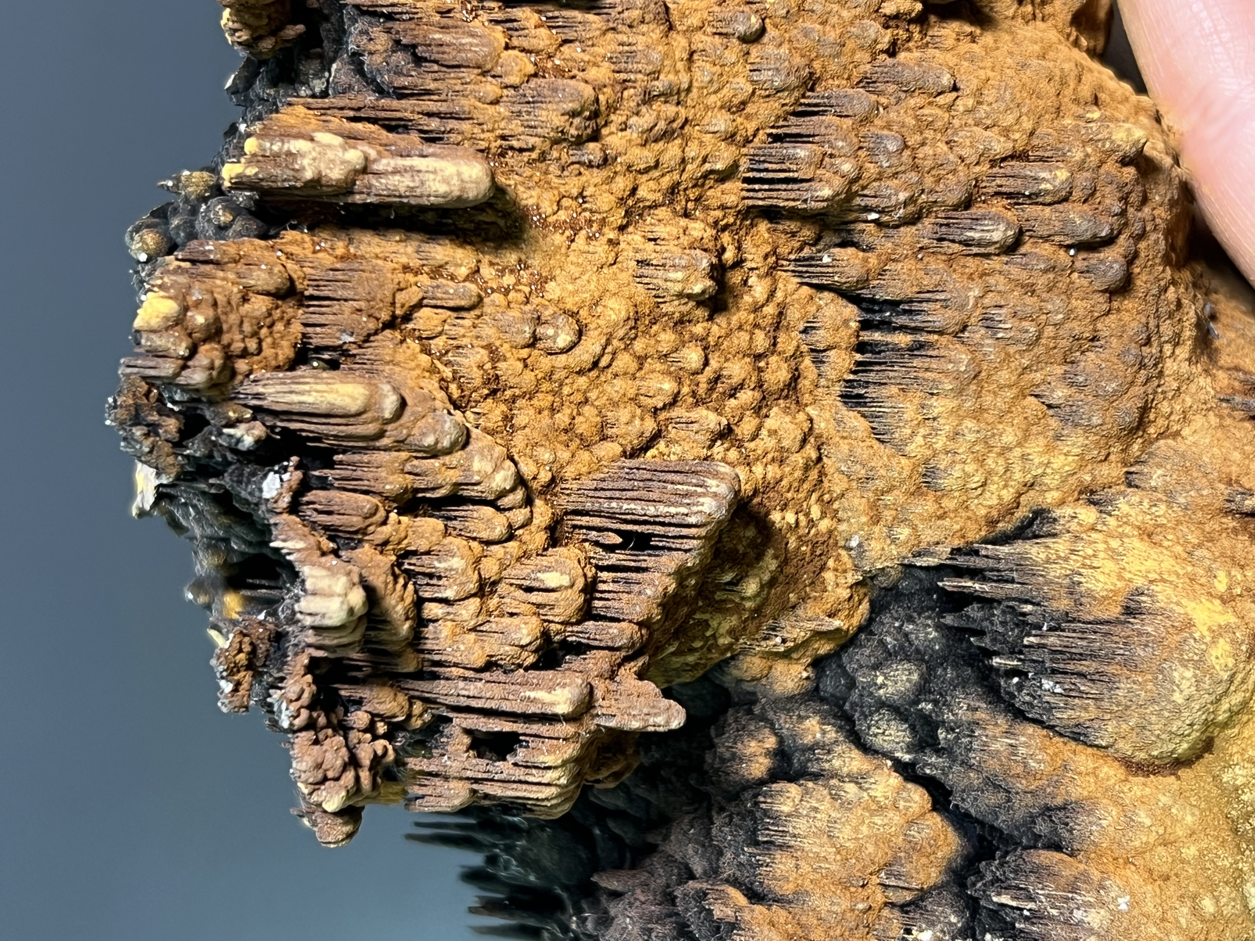 Museum Piece, Limonite With Stalactite Goethite