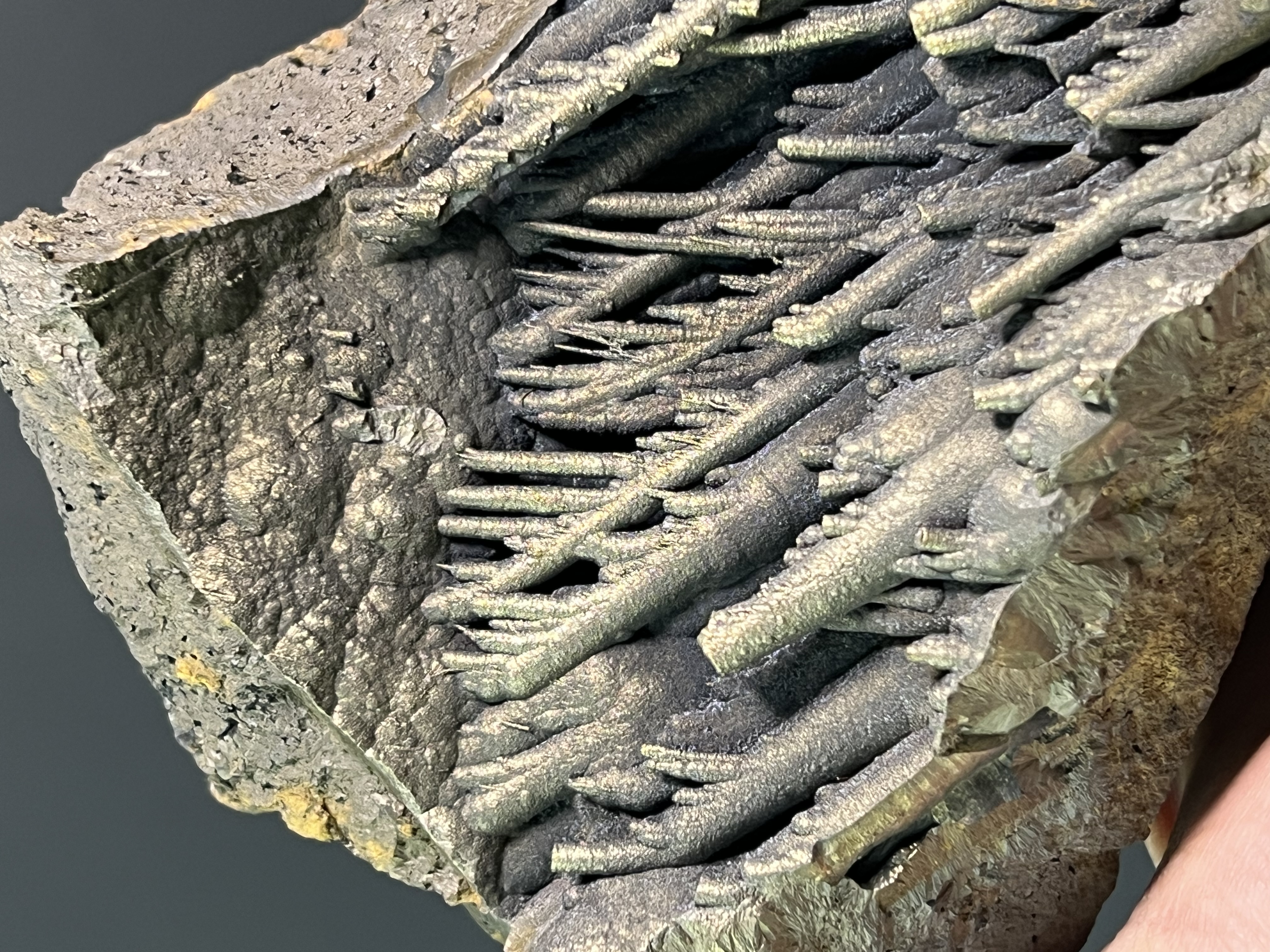 Museum Quality Very Special Golden Color Stalactite Goethite 