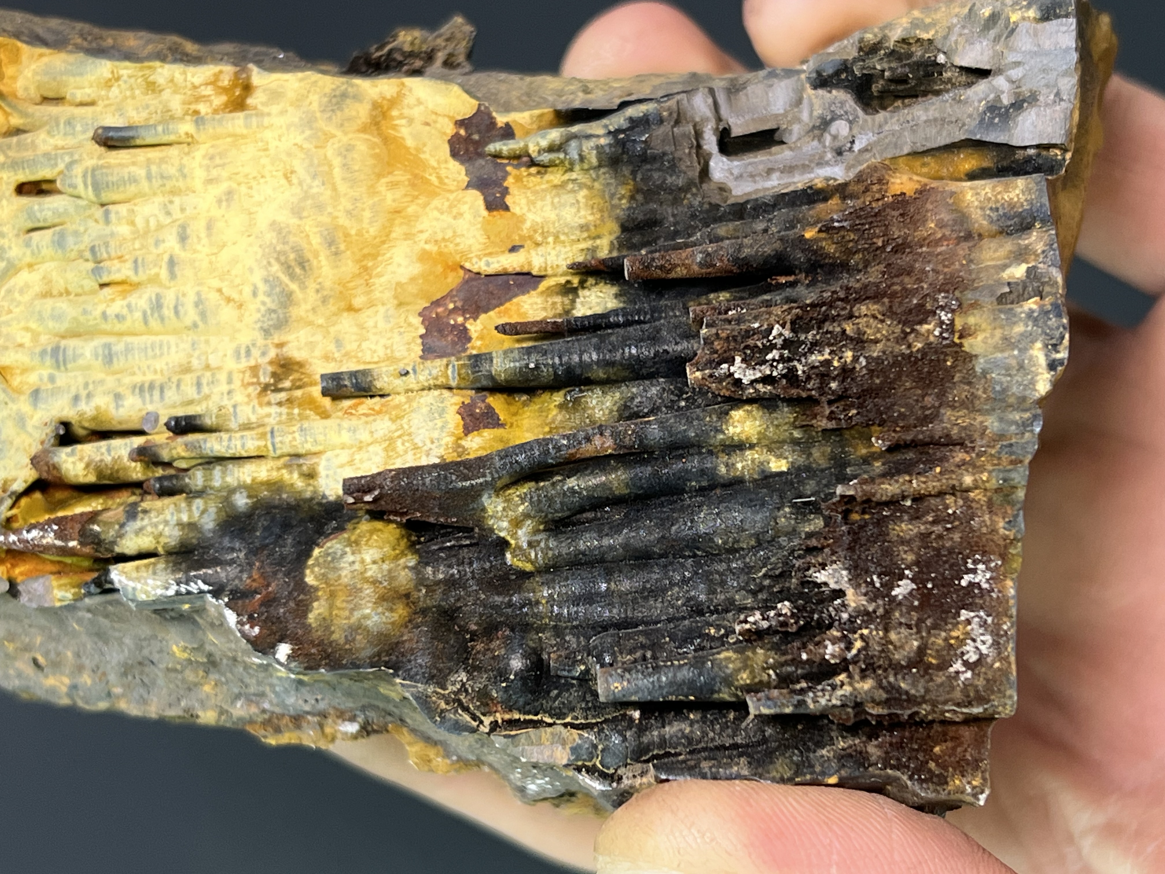 Limonite With Stalactite Goethite Mineral