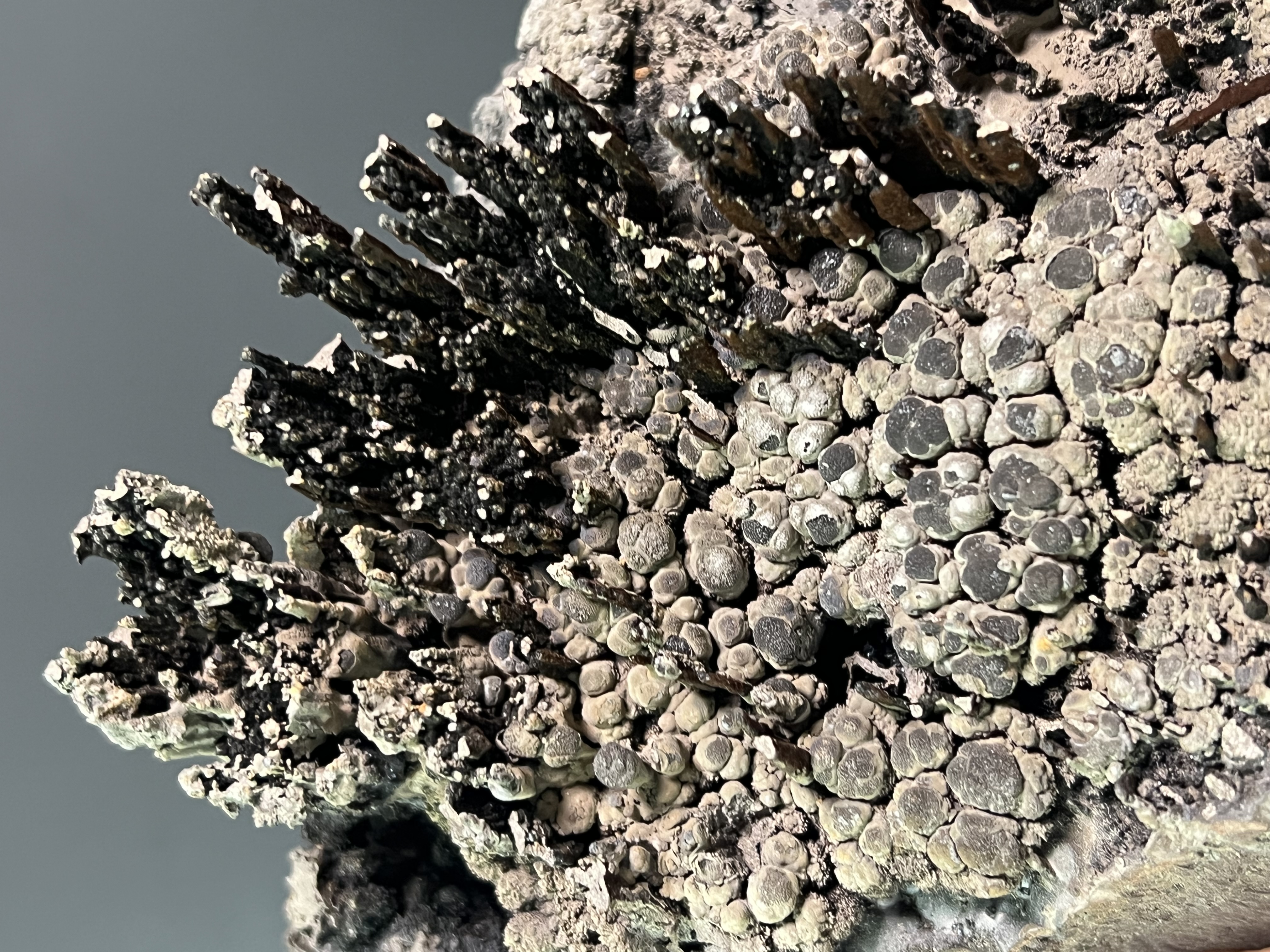 Very Special Specularite And Limonite With Stalactite Goethite 
