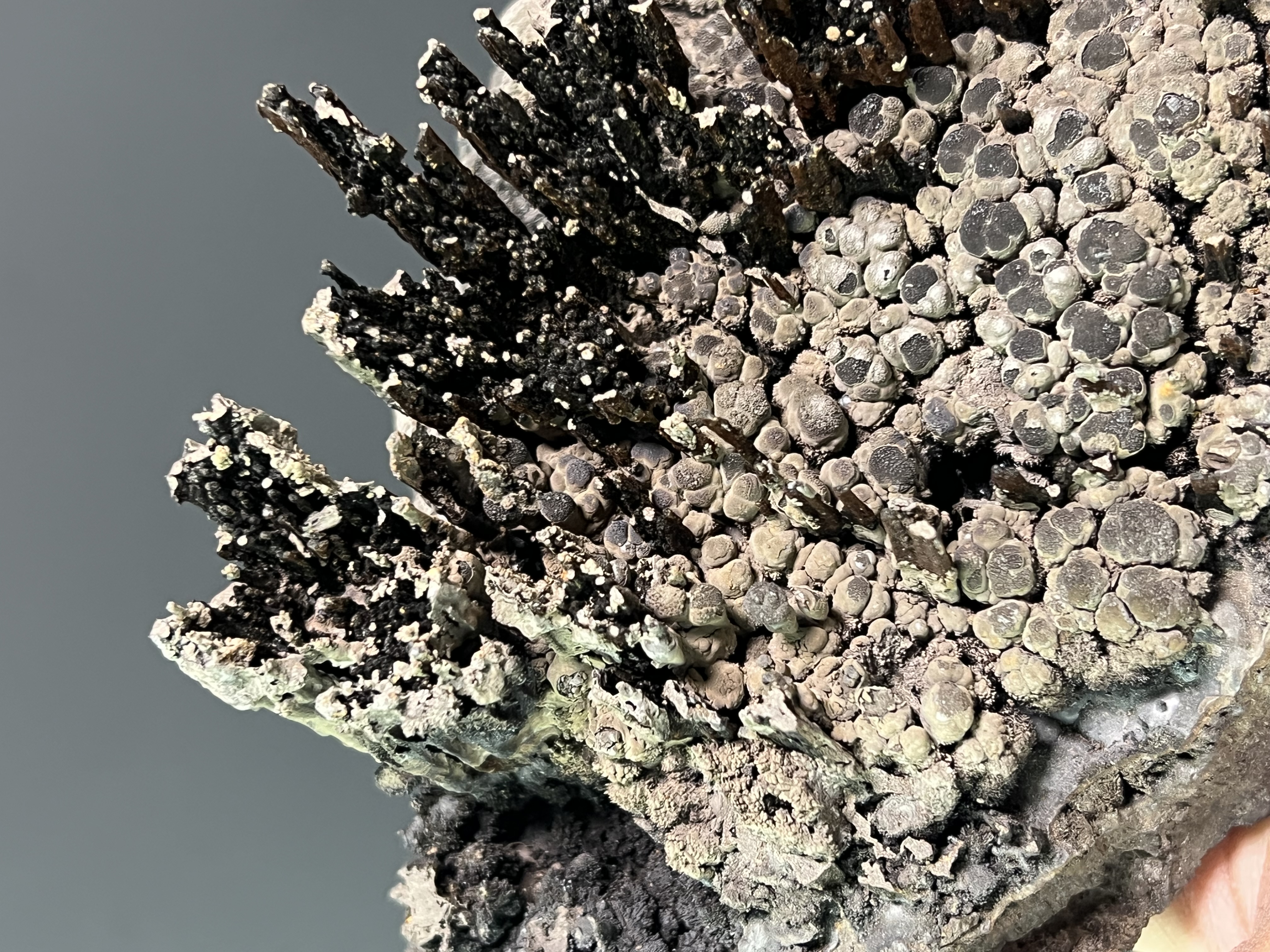 Very Special Specularite And Limonite With Stalactite Goethite 