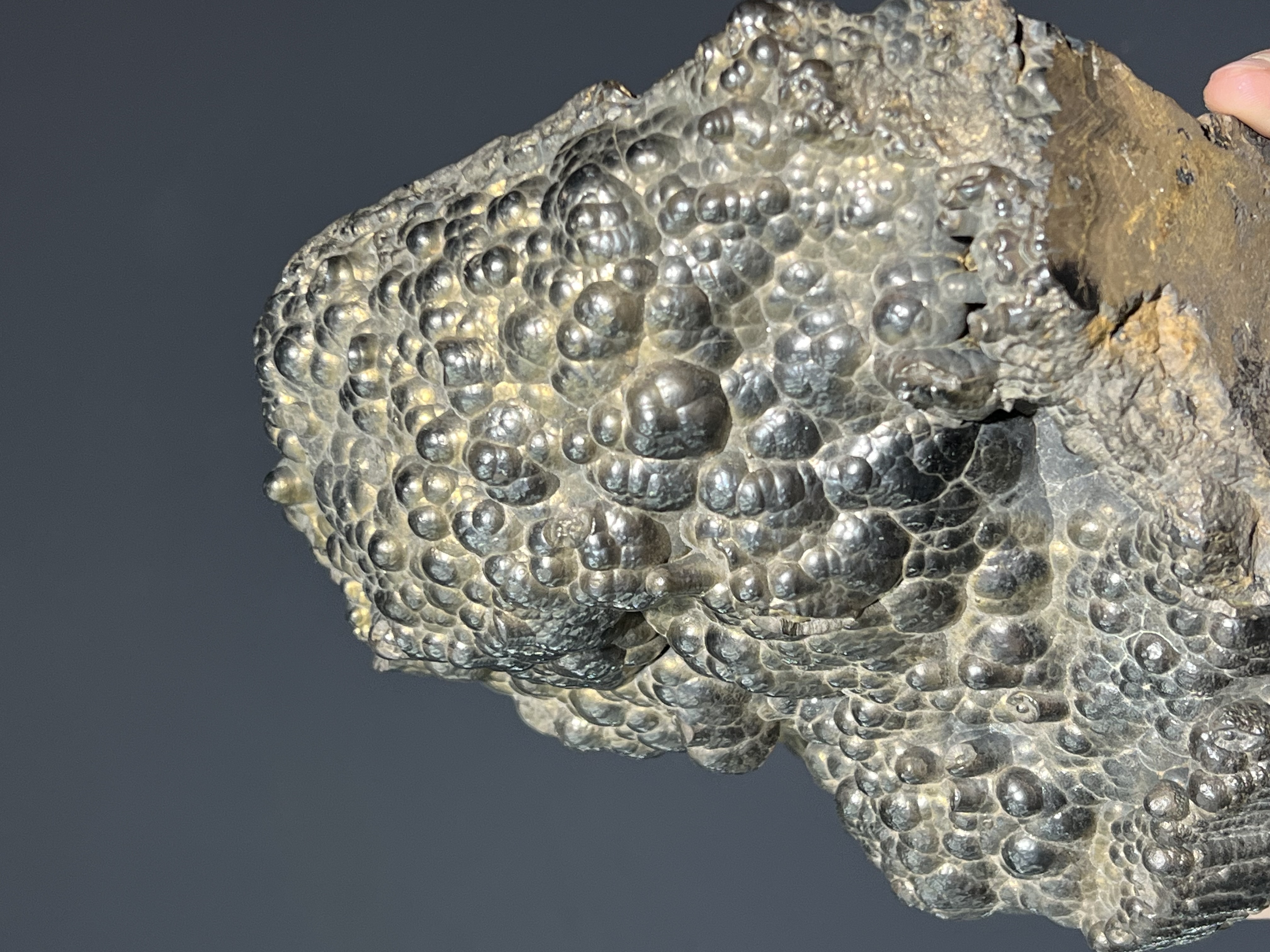 Museum Quality Showy Large Size Golden Color Botryoidal Goethite 