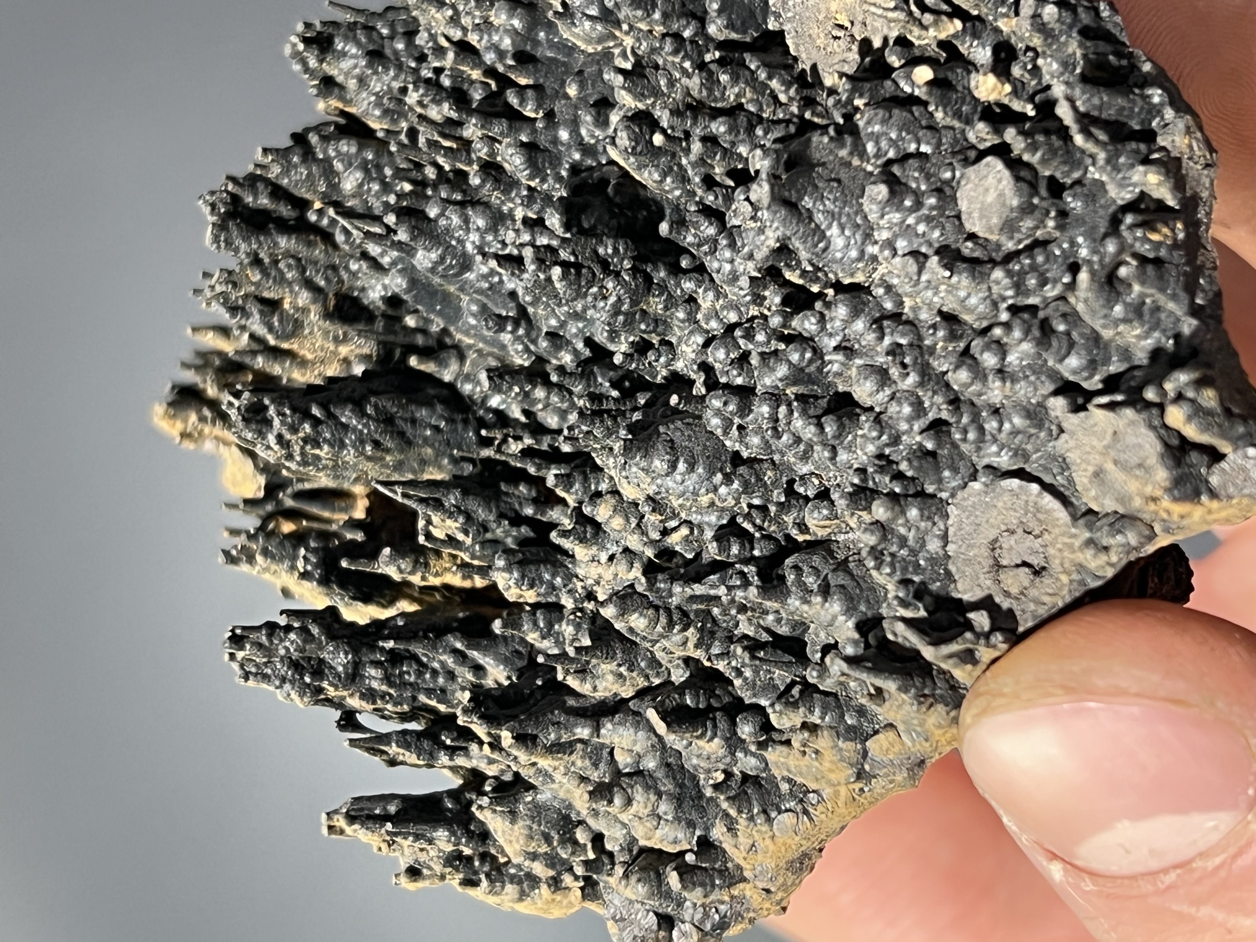 Museum Quality Showy Special Stalactite Goethite