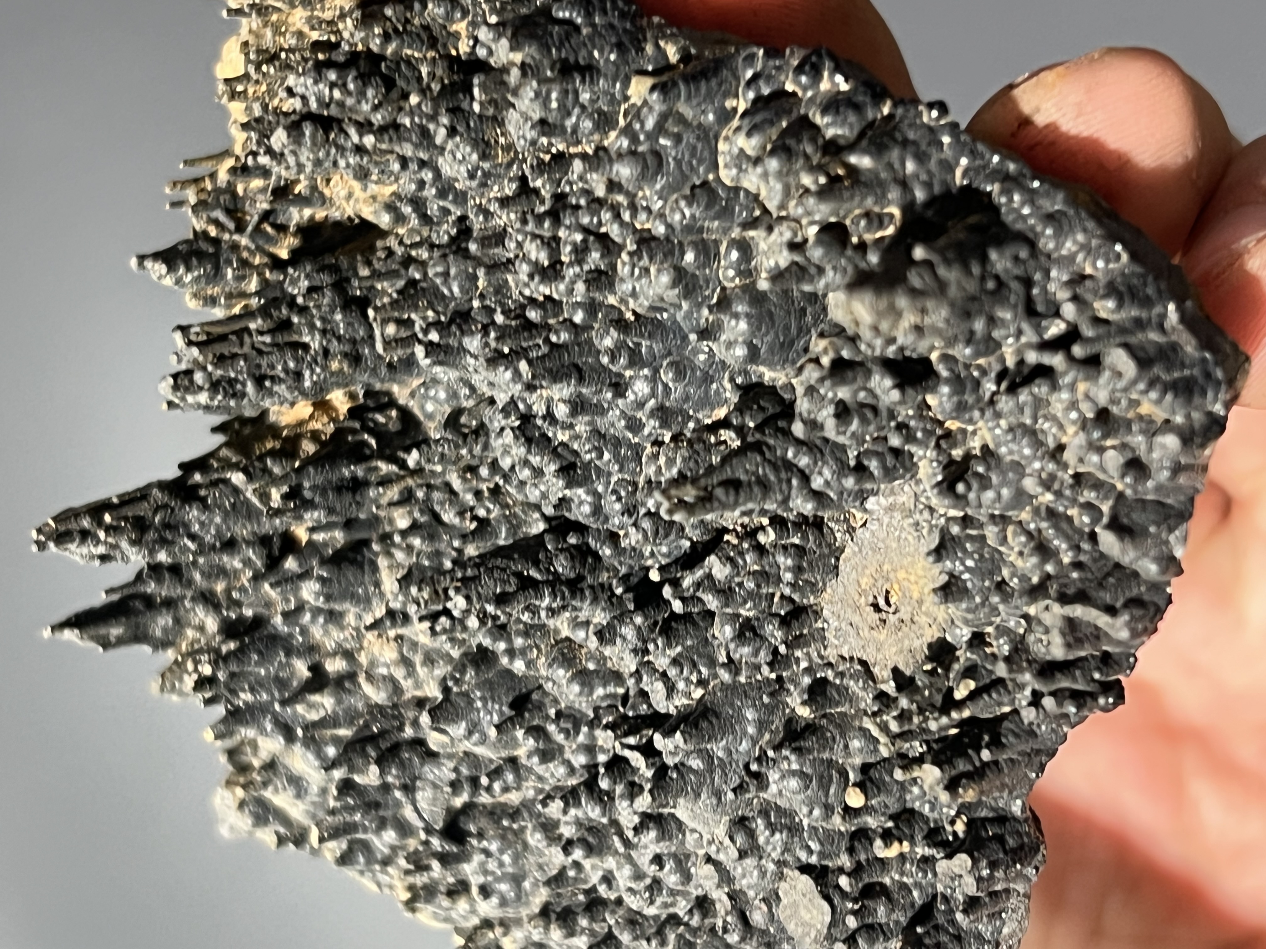 Museum Quality Showy Special Stalactite Goethite