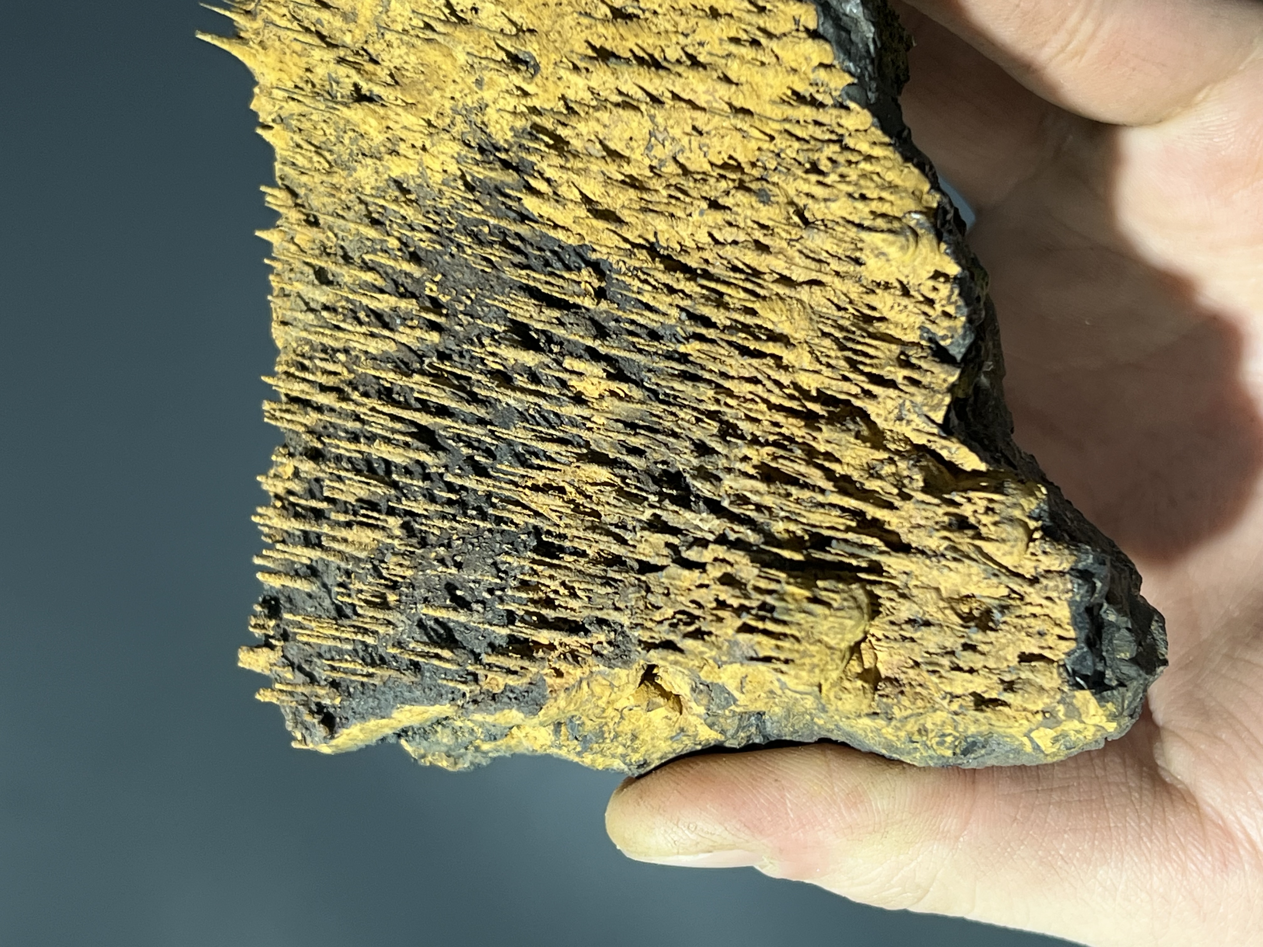 Museum Piece, Limonite With Stalactite Goethite 