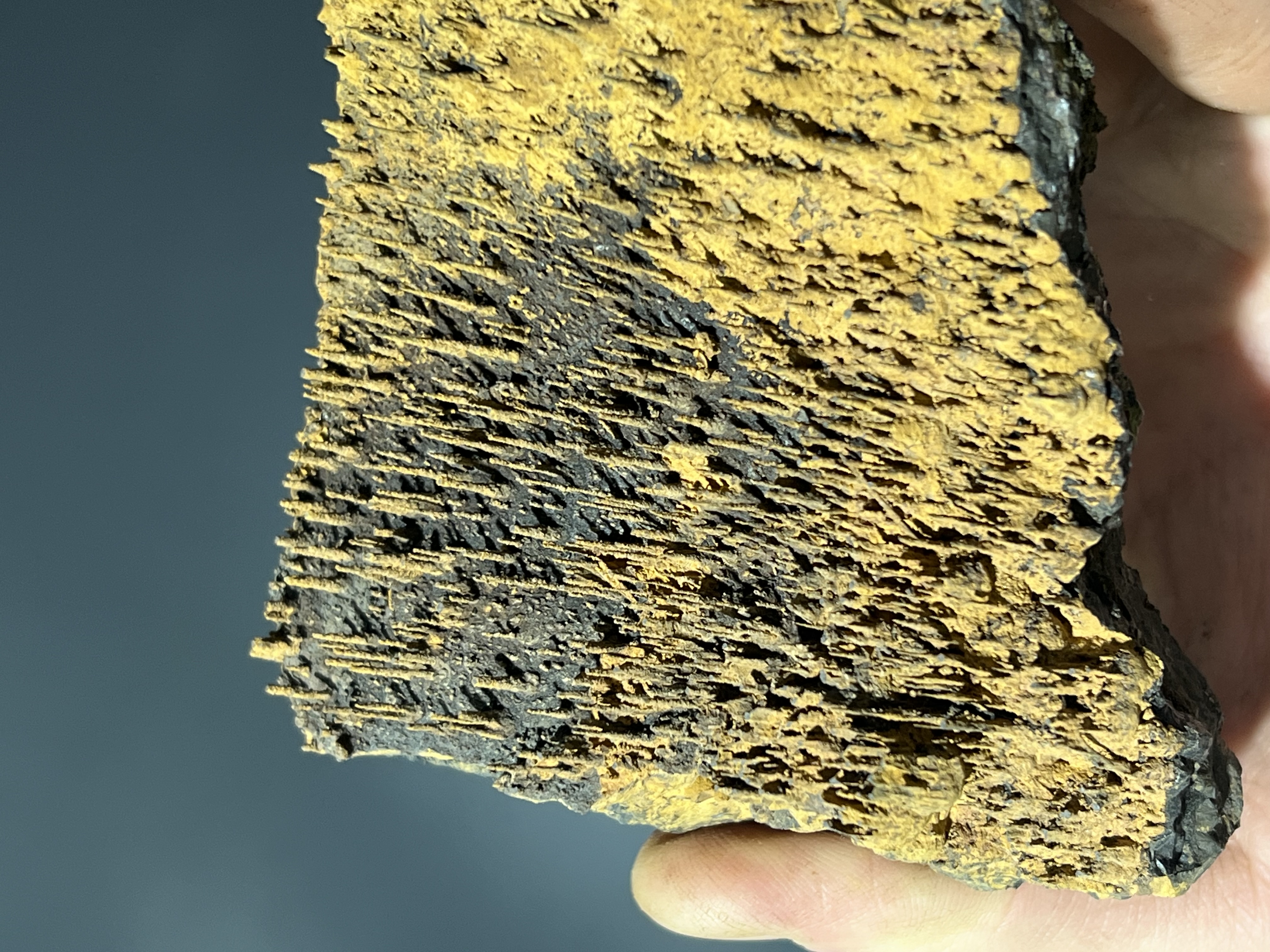 Museum Piece, Limonite With Stalactite Goethite 