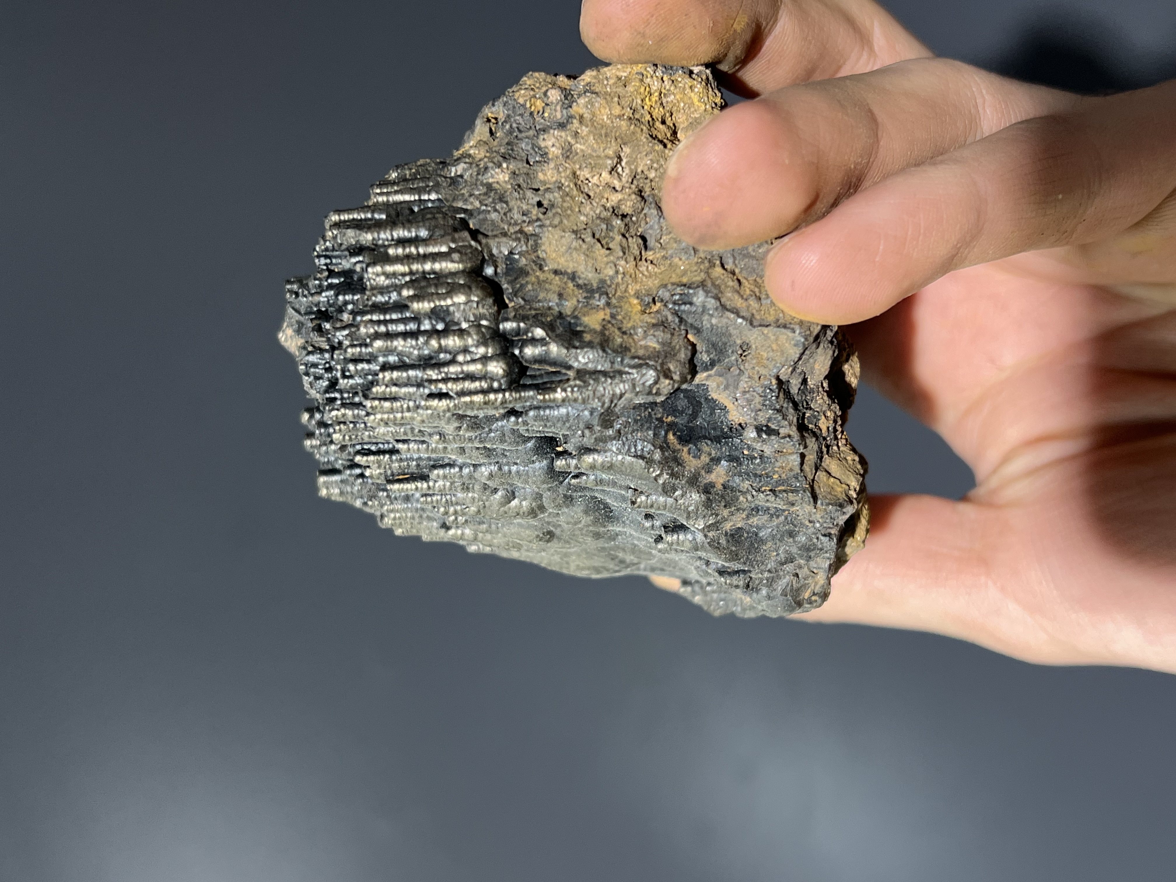 Museum Quality Special Golden Color Stalactite Goethite 