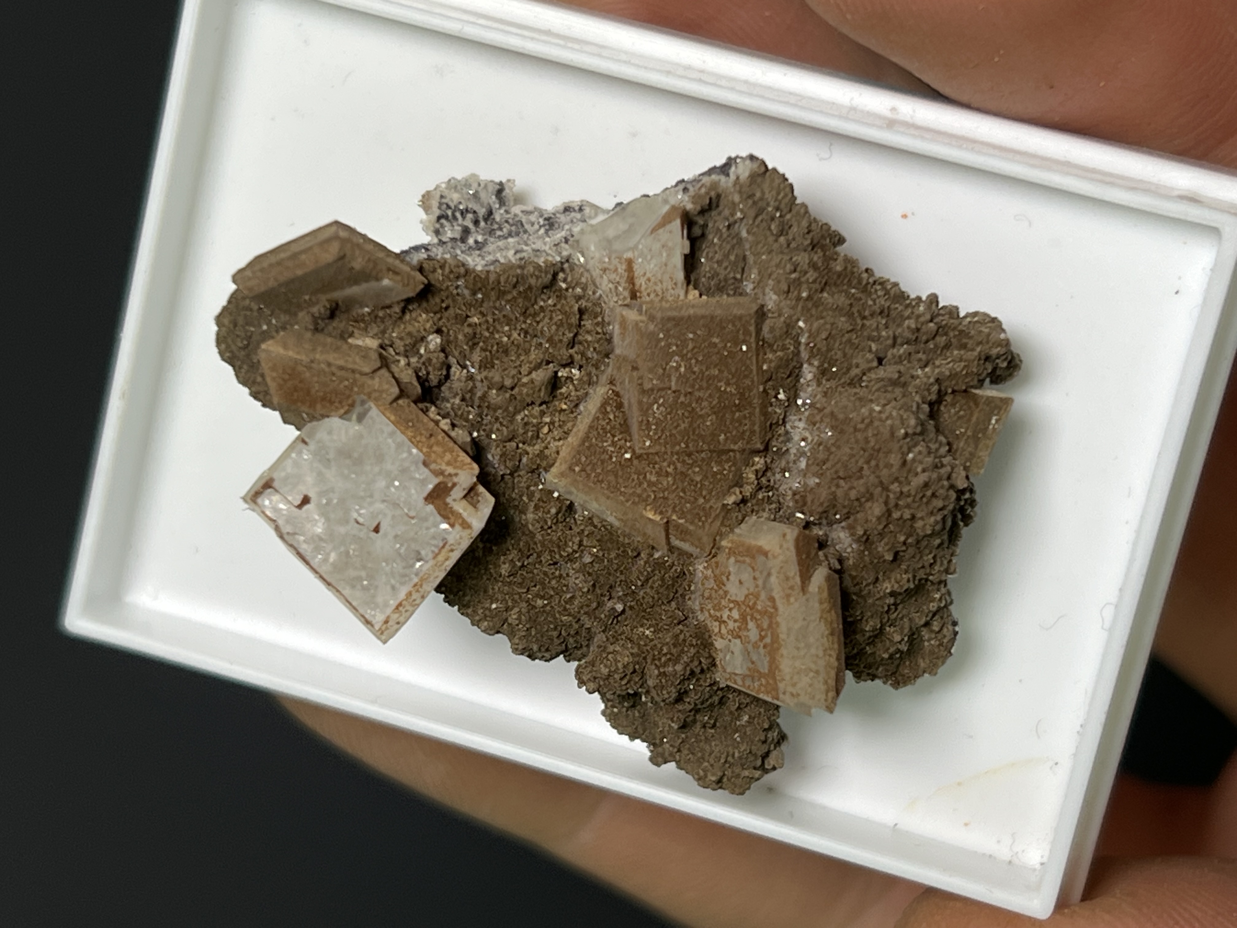 Beautiful Mangano Apophyllite Specimen