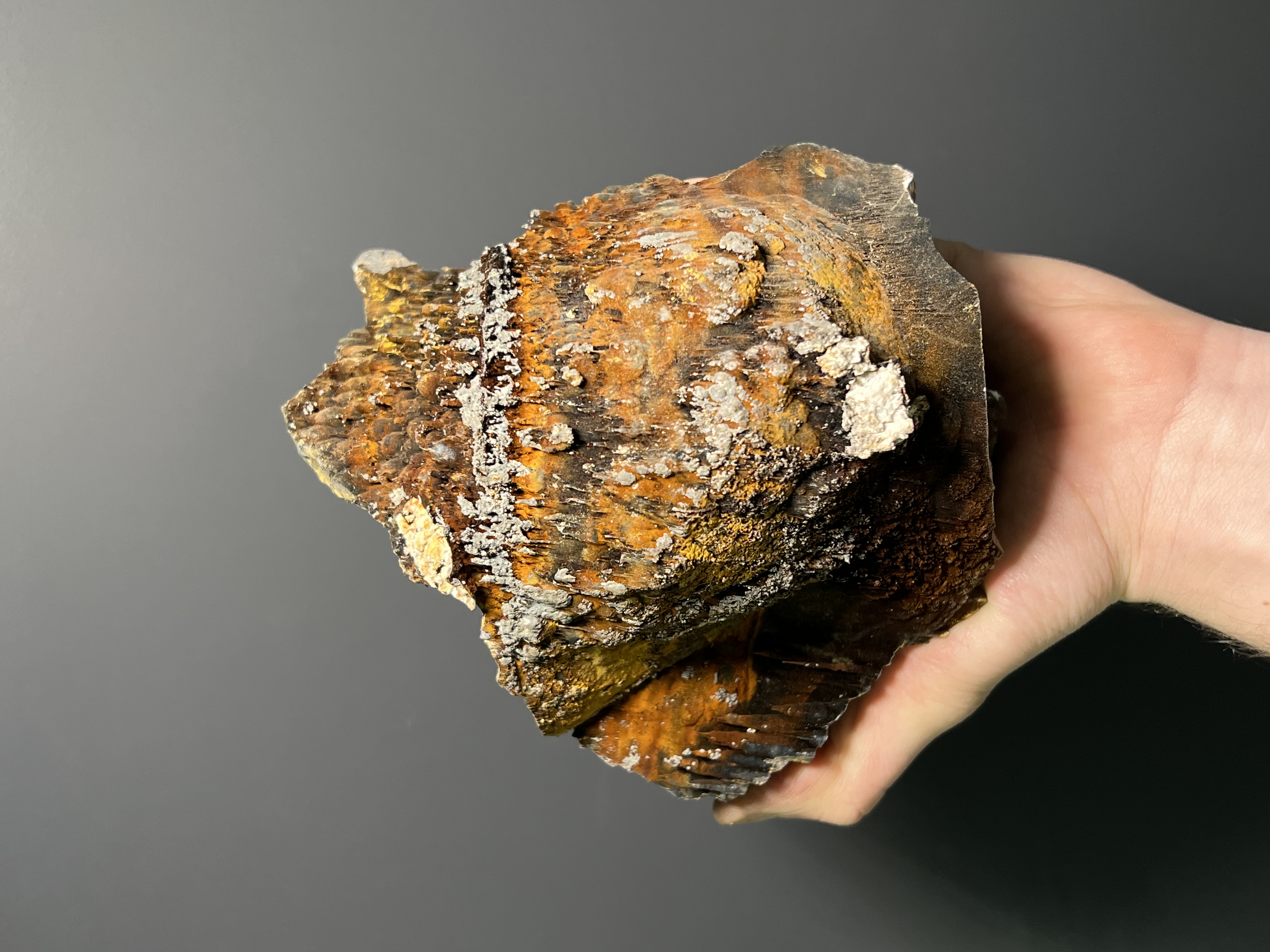 Museum Grade, Limonite And Specularite On Stalactite Goethite, 3,9kg