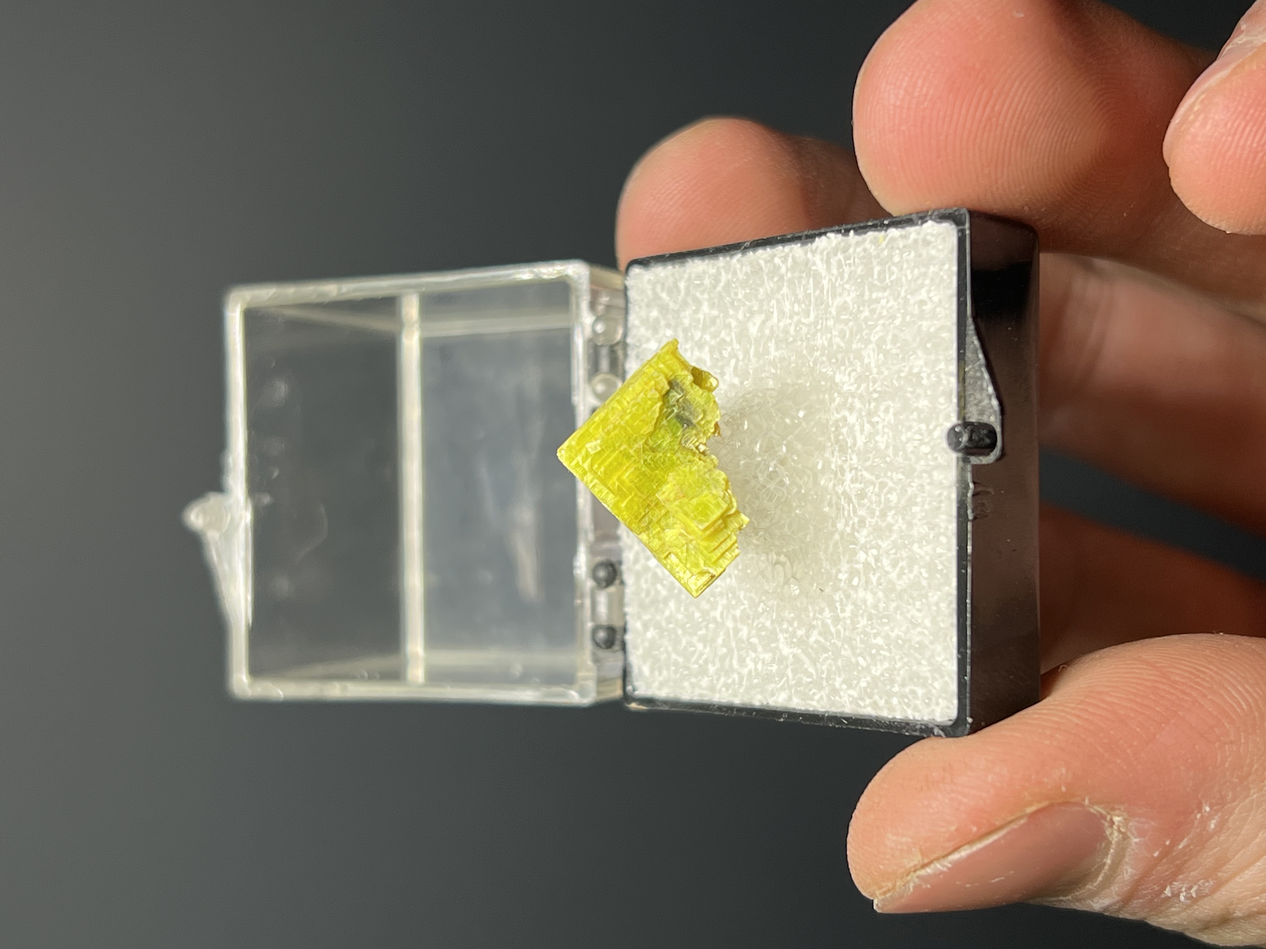 Unique, Uranocircite Specimen 