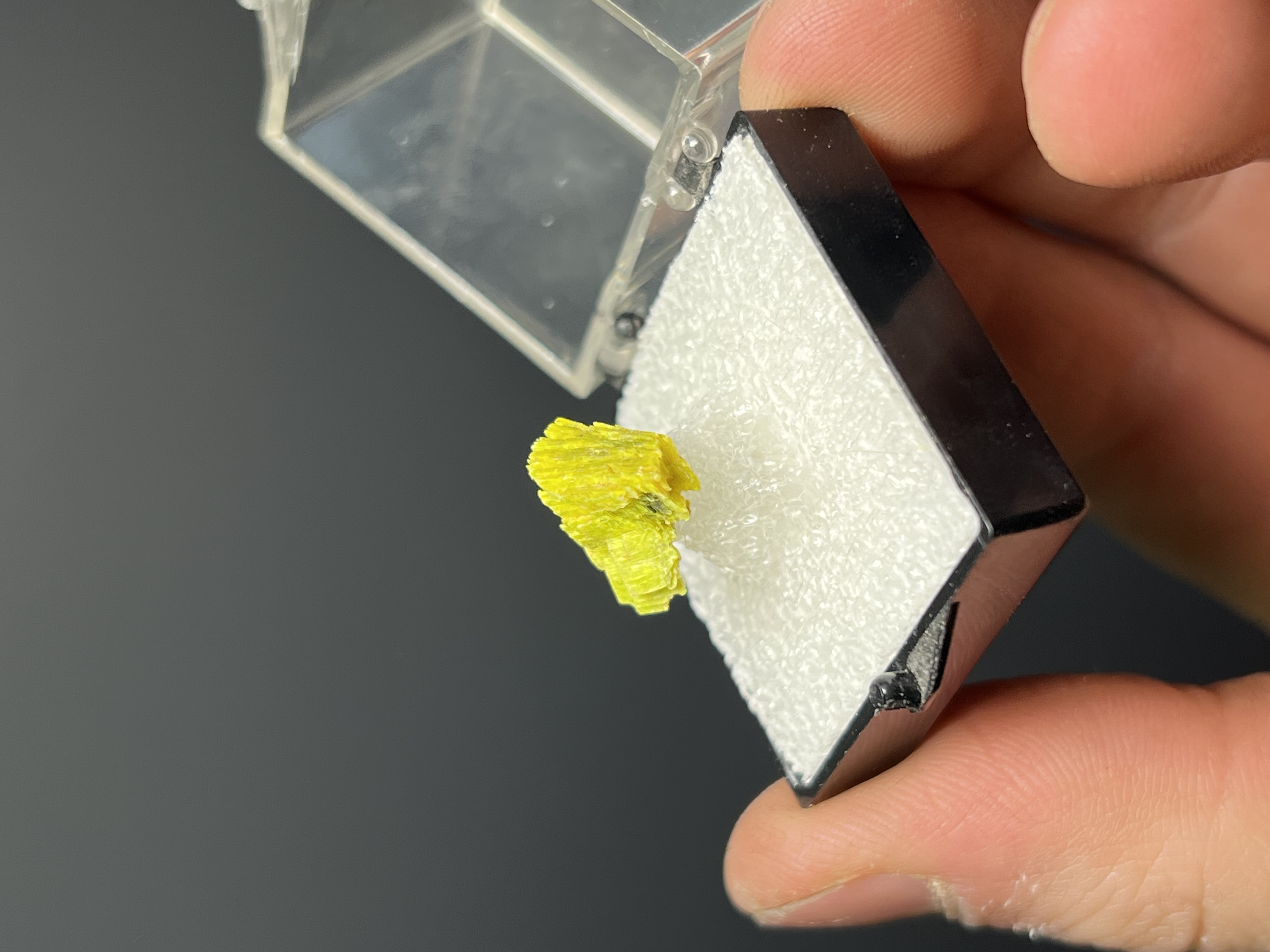 Unique, Uranocircite Specimen 