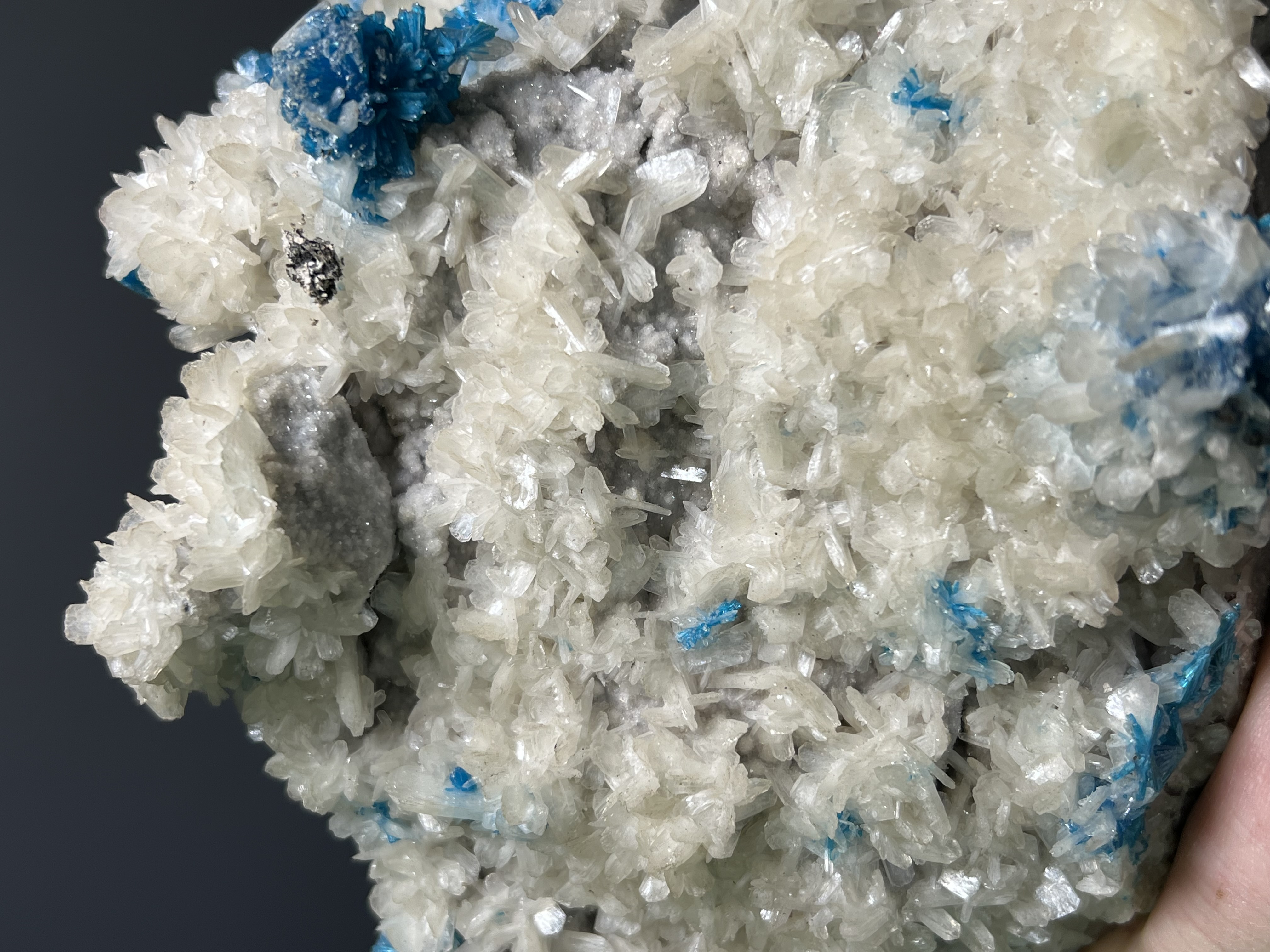 Museum Grade, Cavansite On Stilbite Specimen, 1,7kg