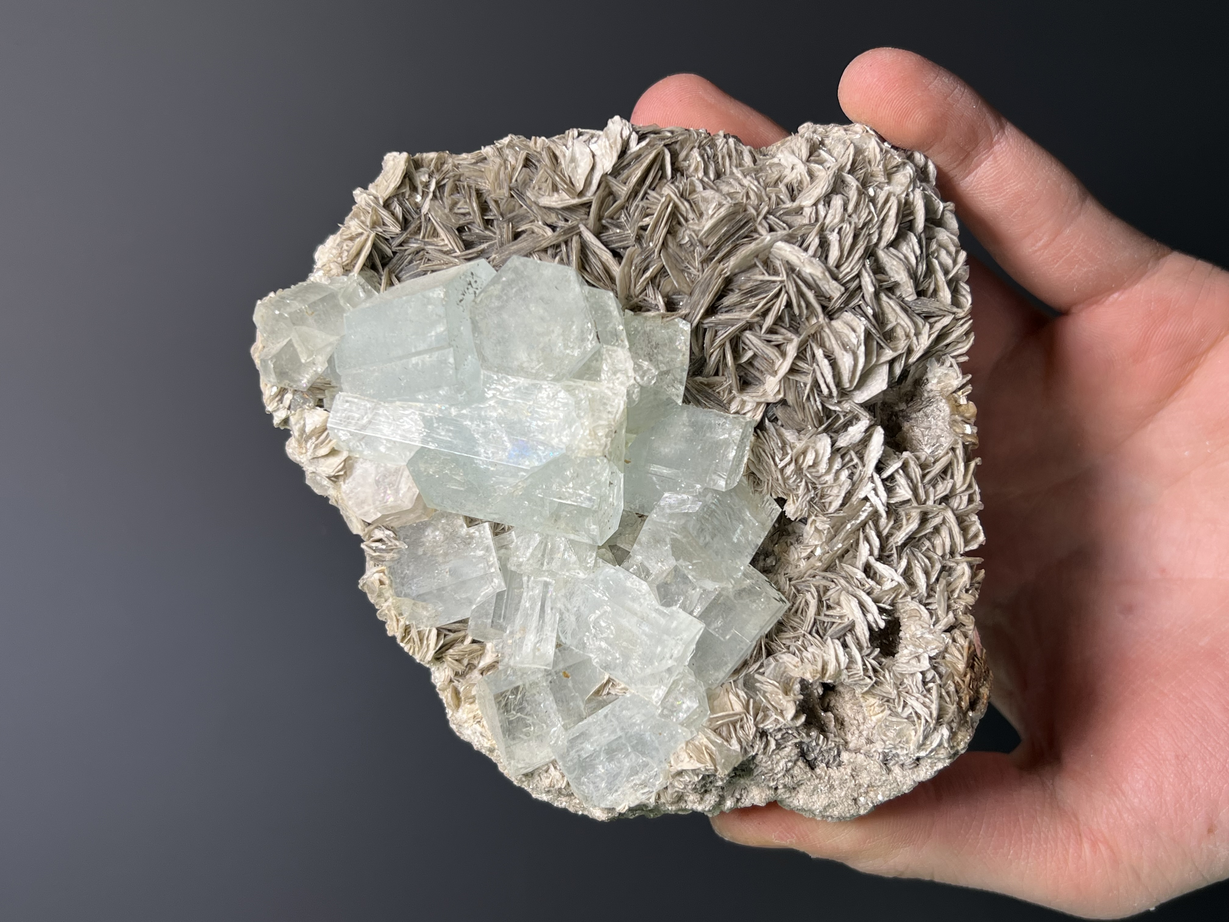 Museum Grade, Aquamarine With Muscovite Specimen, 700gram